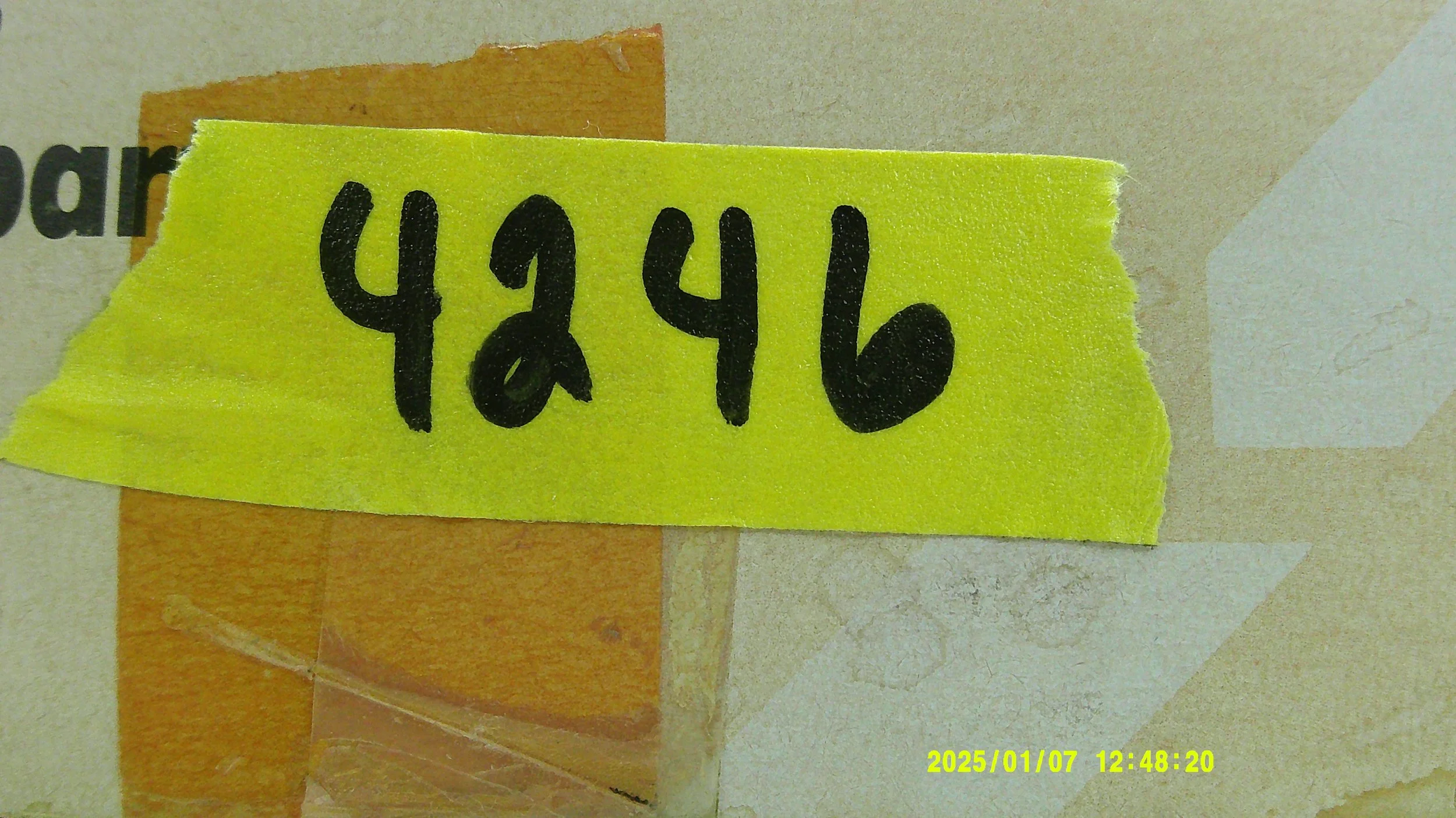 DSCF0196.JPG