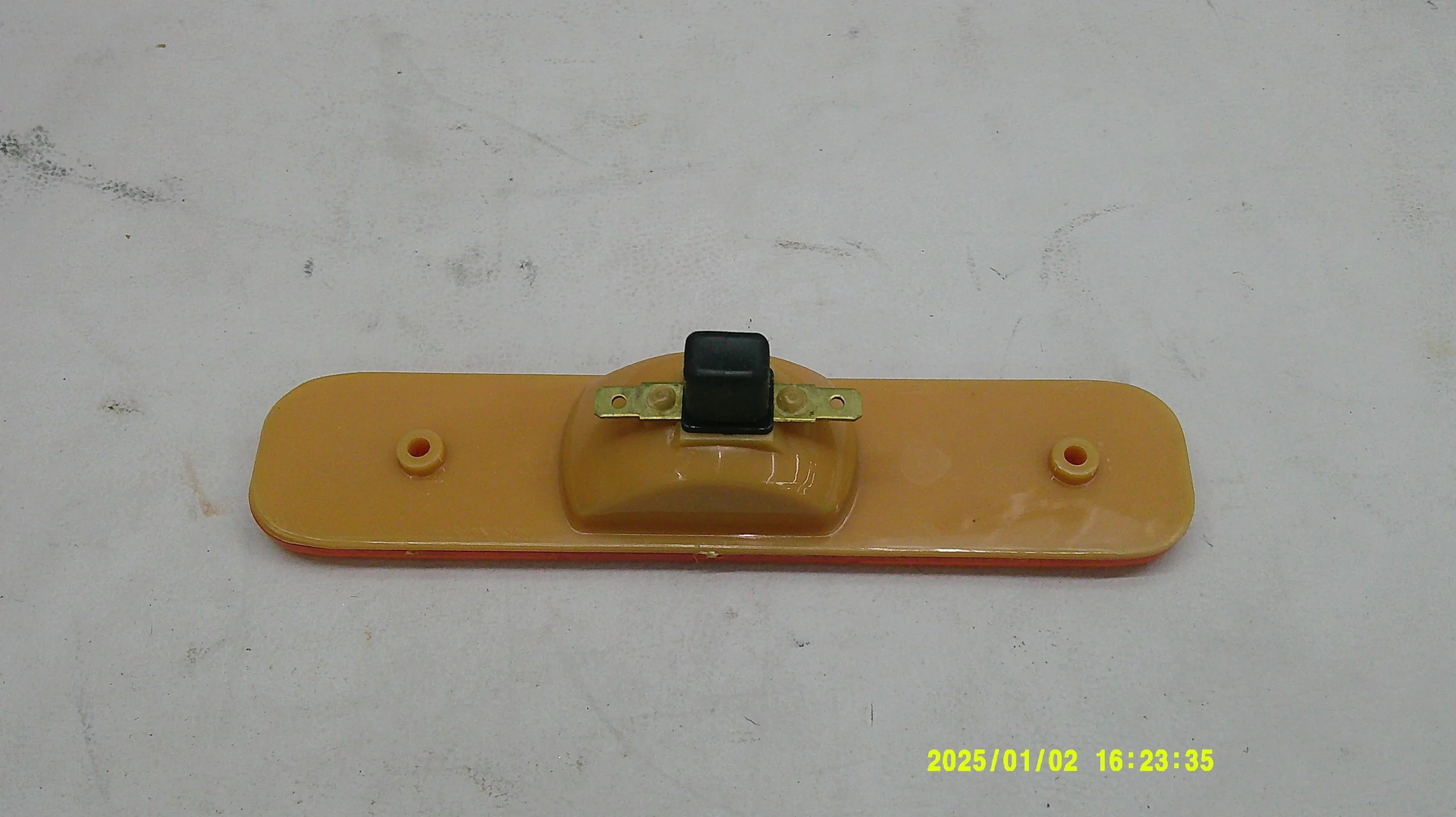 DSCF0308.JPG