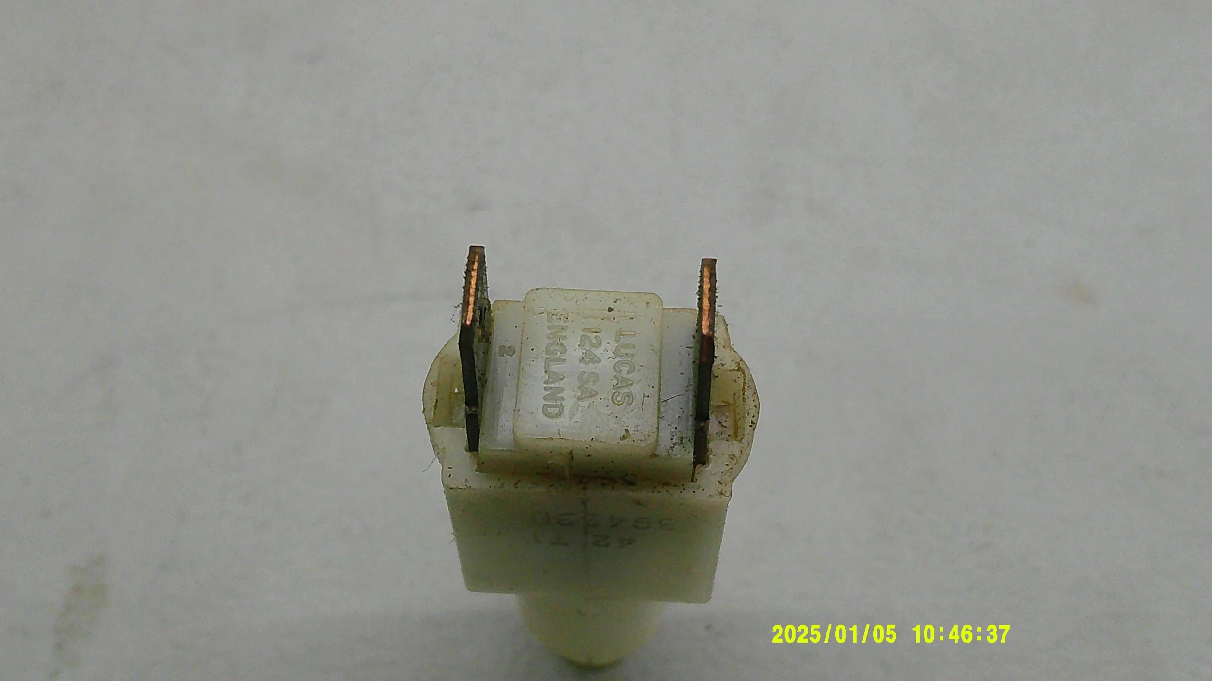DSCF0670.JPG