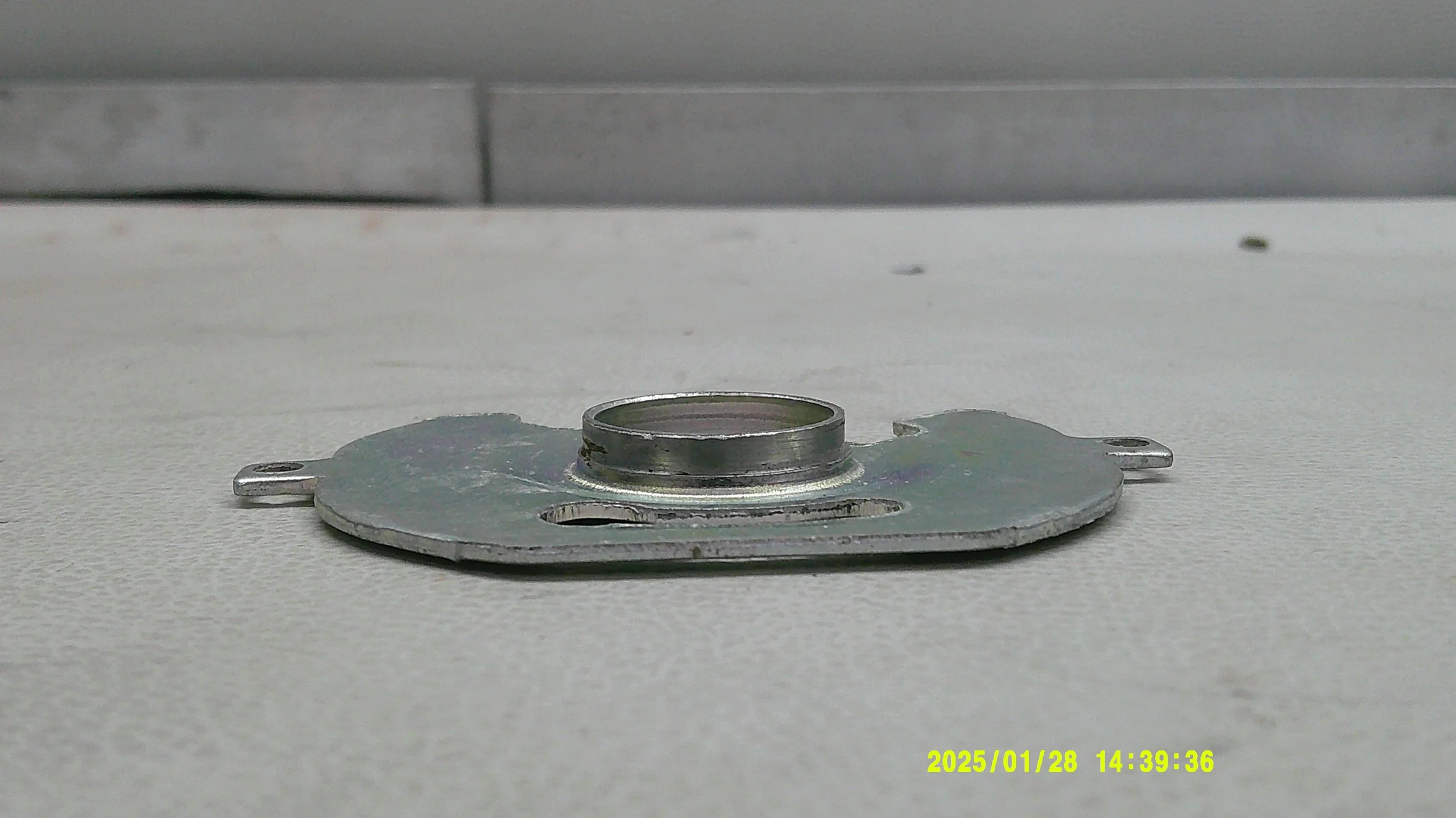 DSCF0706.JPG