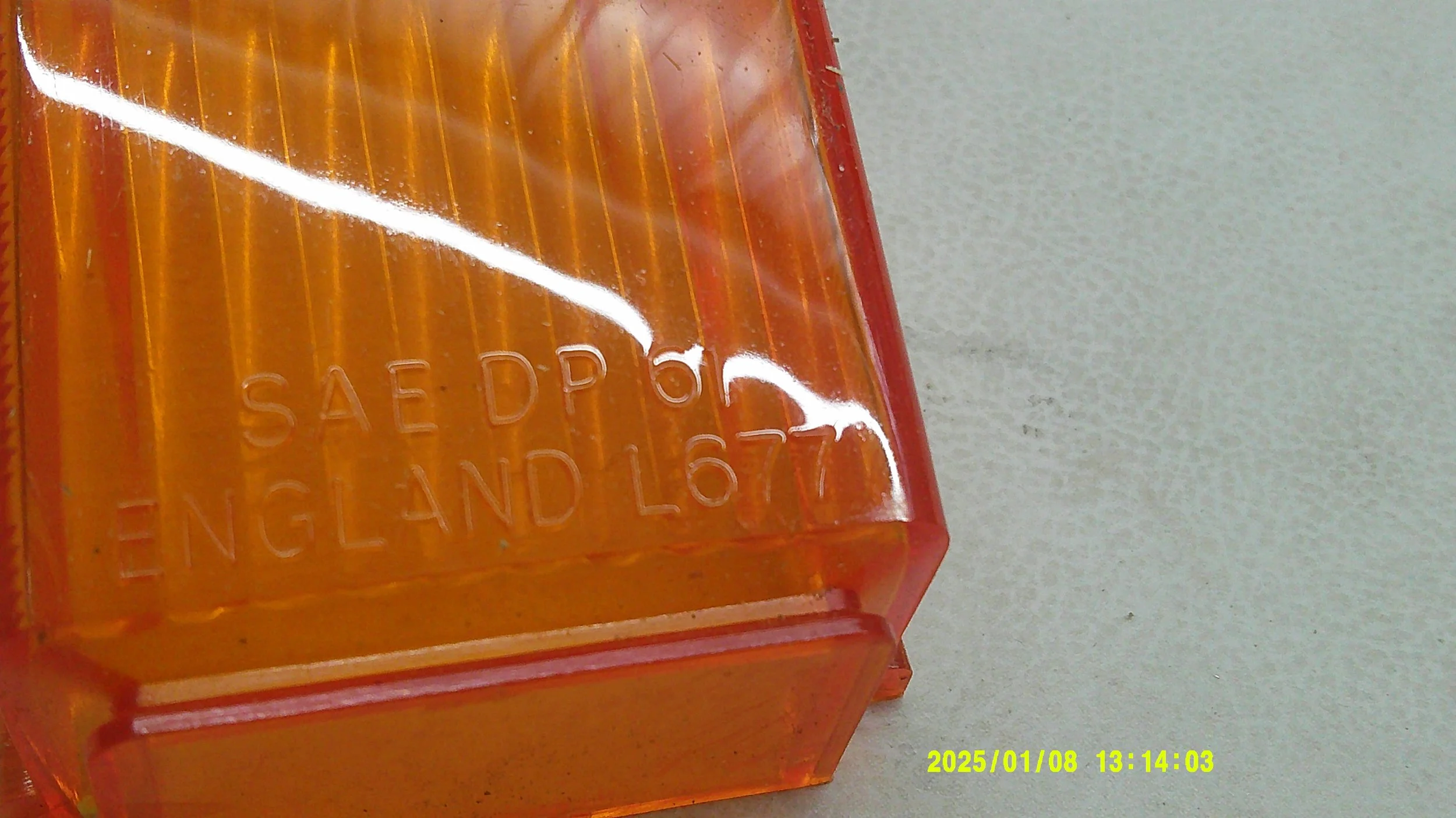 DSCF0446.JPG