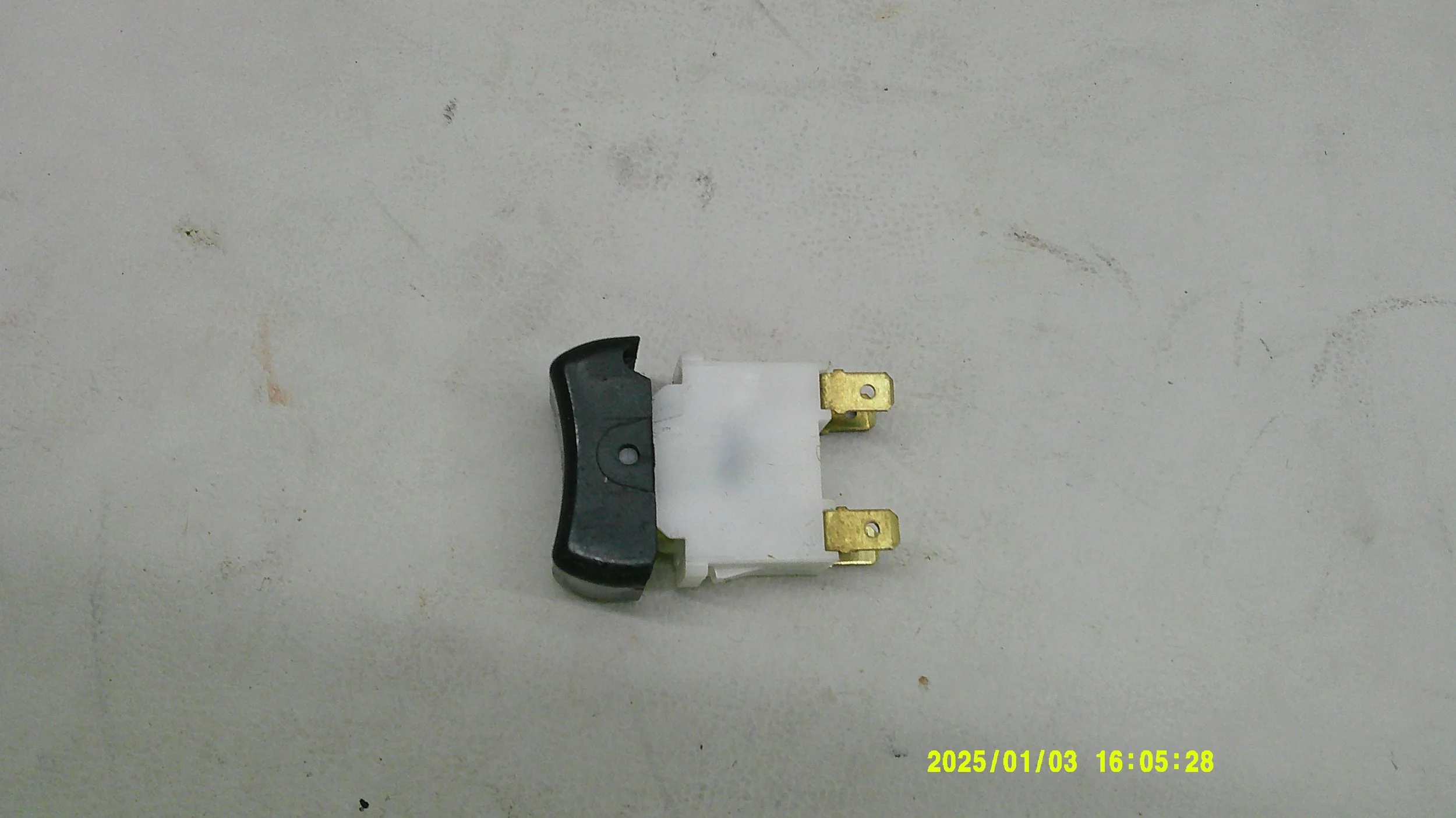 DSCF0443.JPG