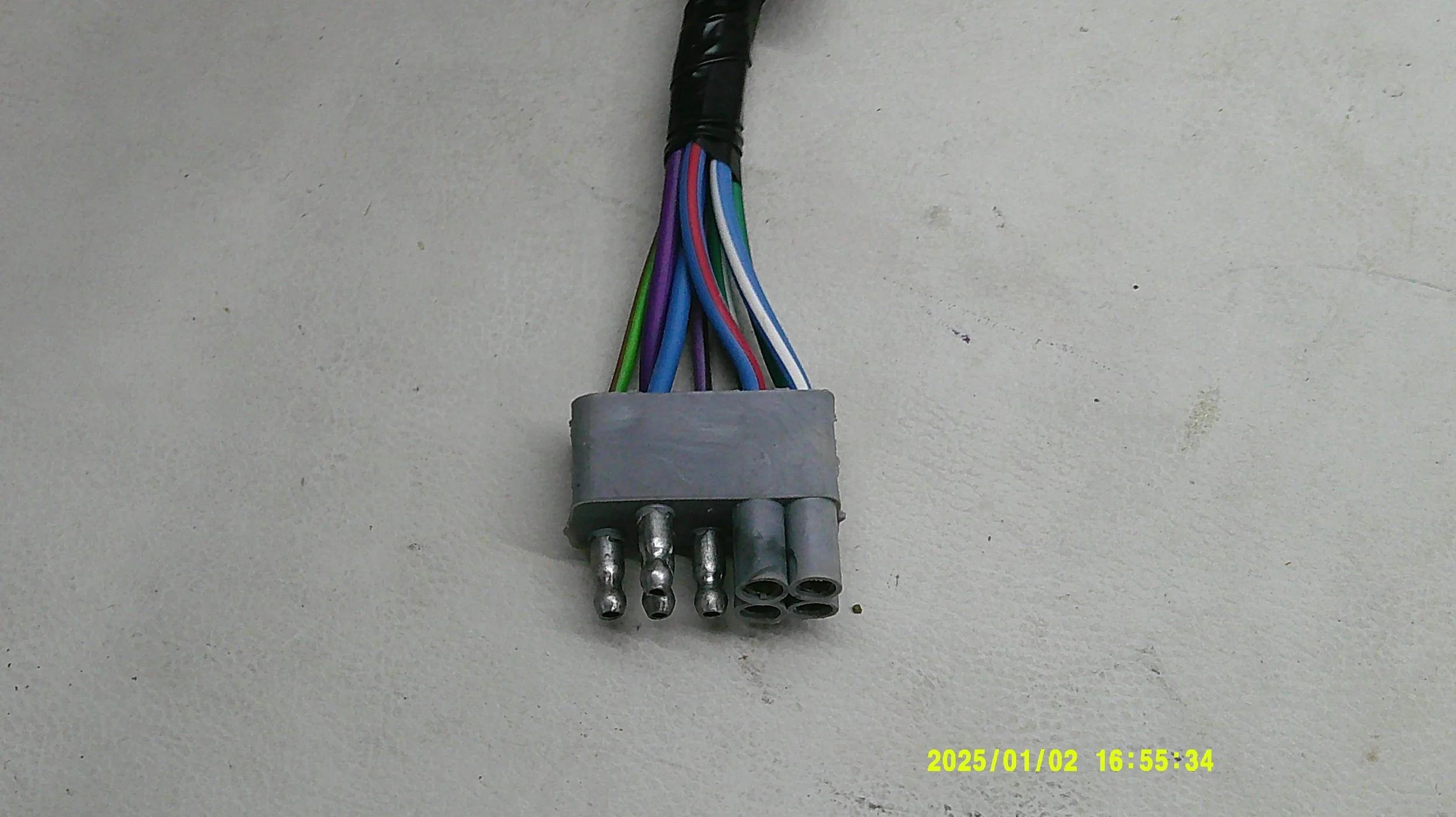 DSCF0334.JPG