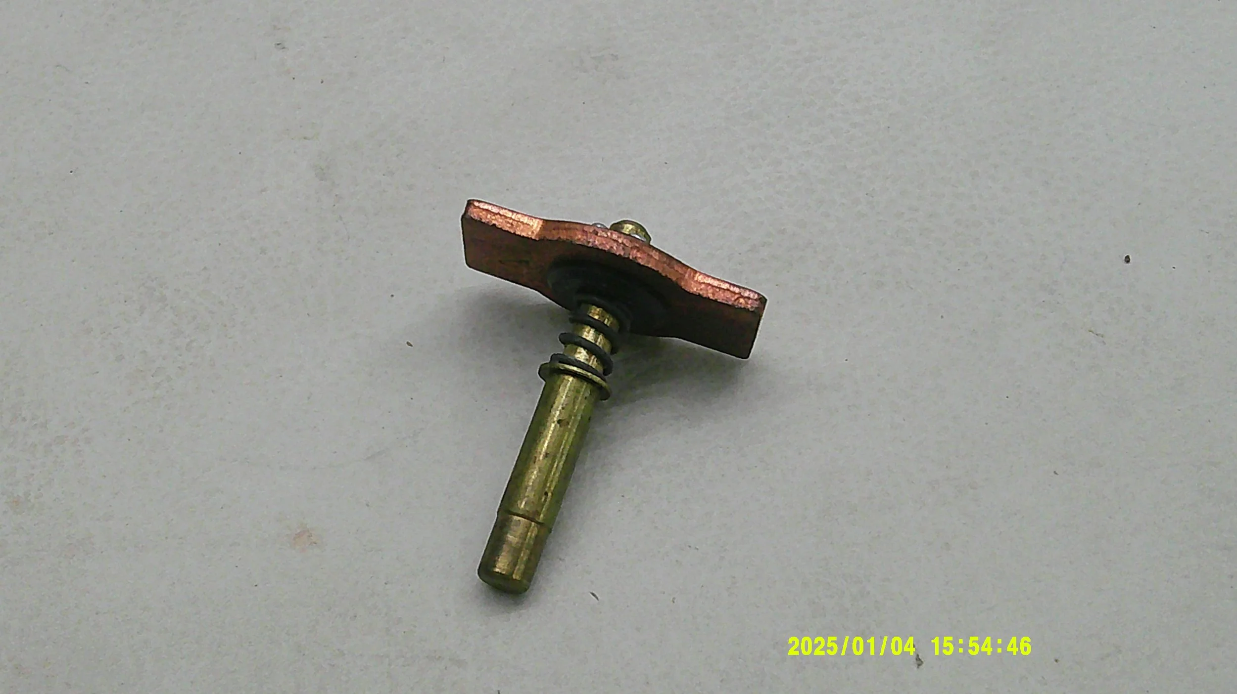 DSCF0563.JPG