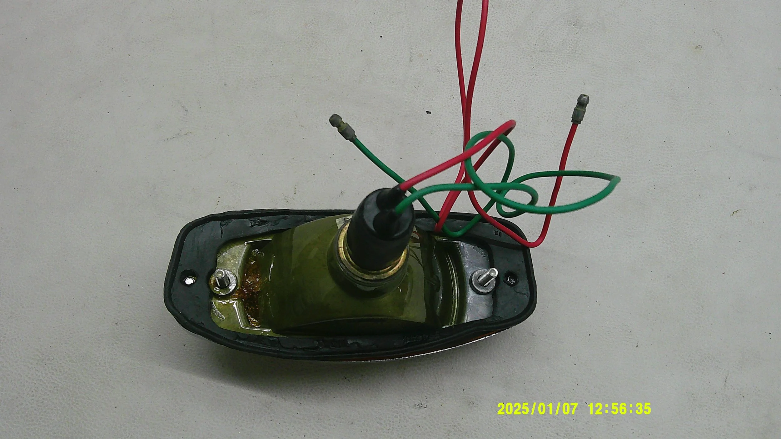 DSCF0231.JPG