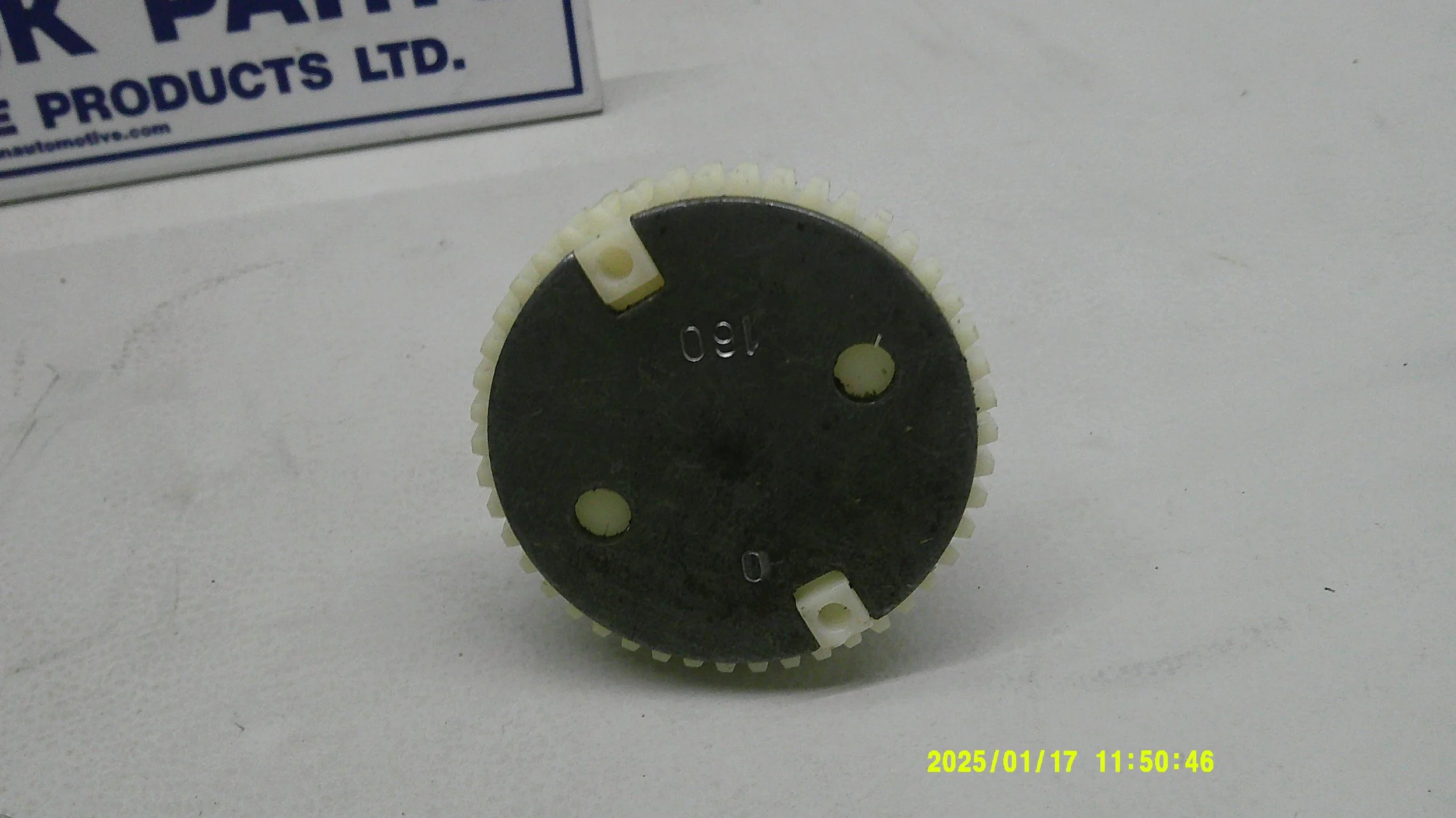 DSCF0098.JPG