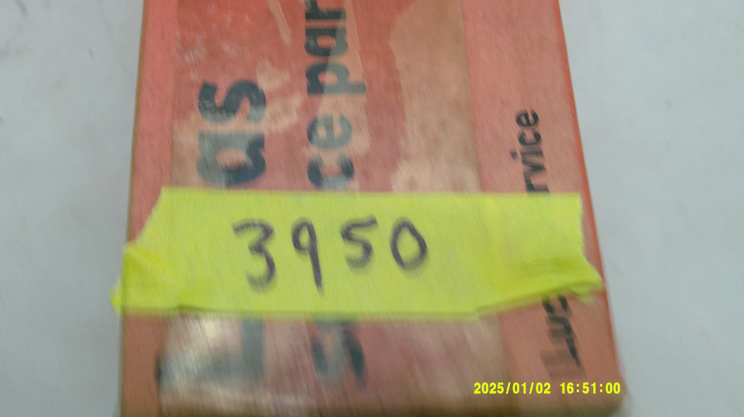 DSCF0331.JPG