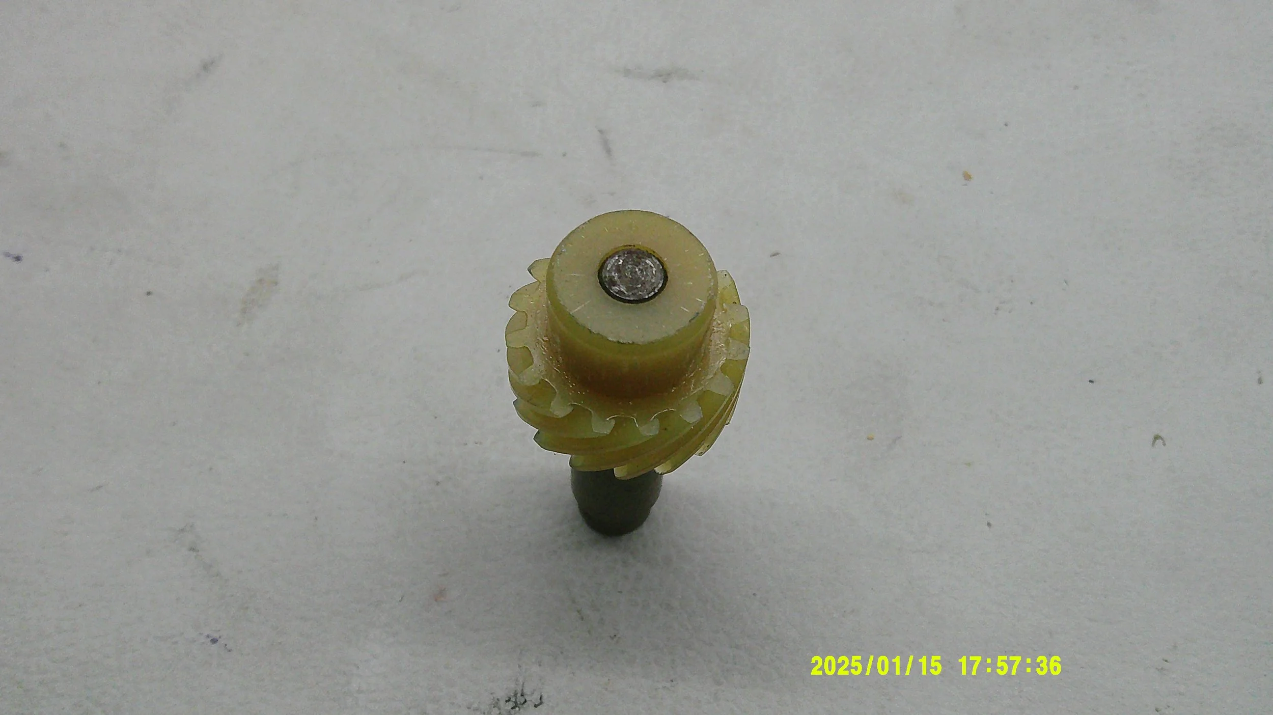 DSCF0992.JPG