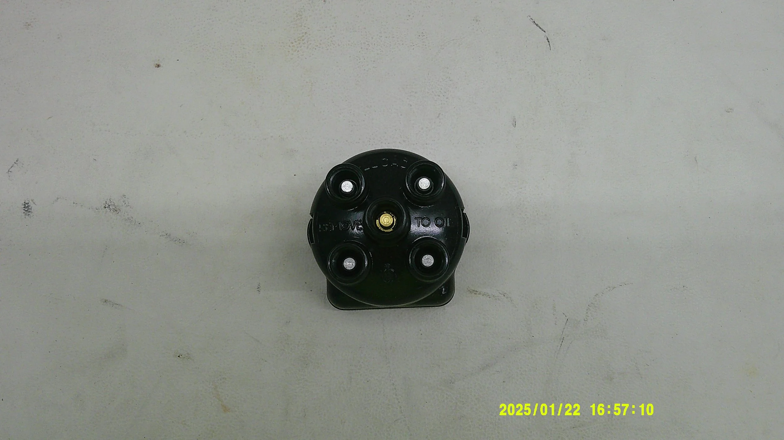 DSCF0379.JPG