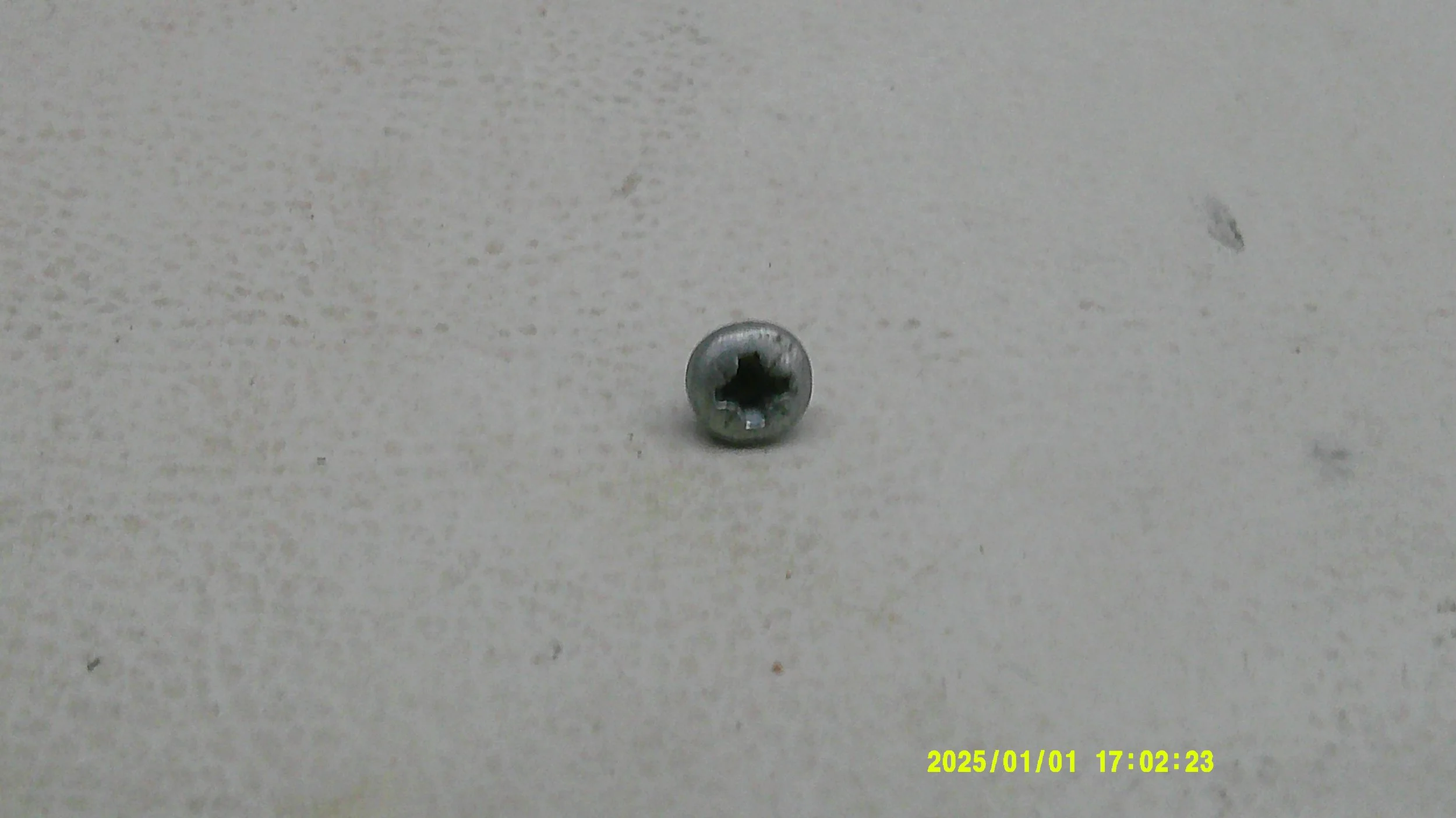 DSCF0917.JPG