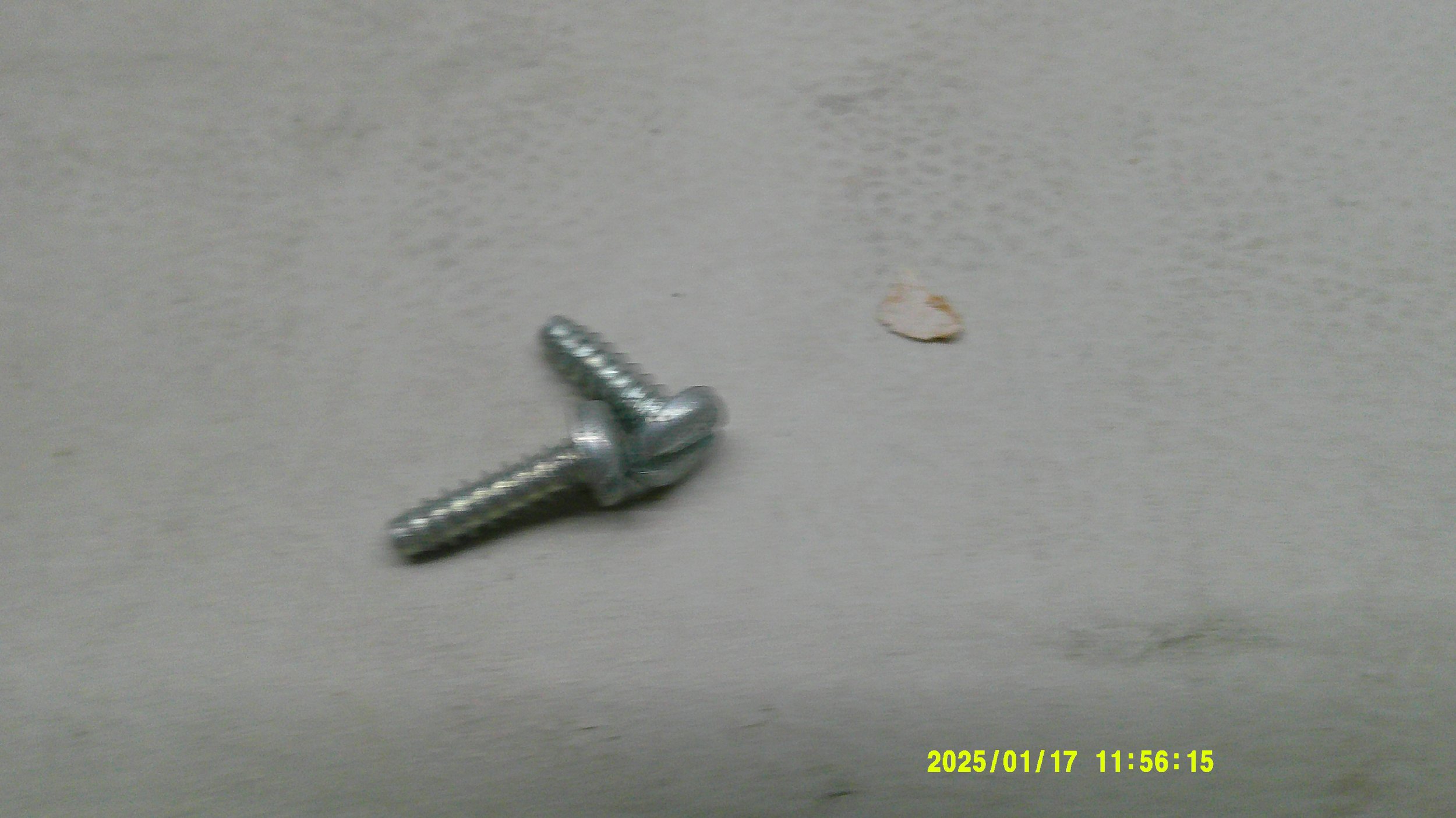 DSCF0117.JPG