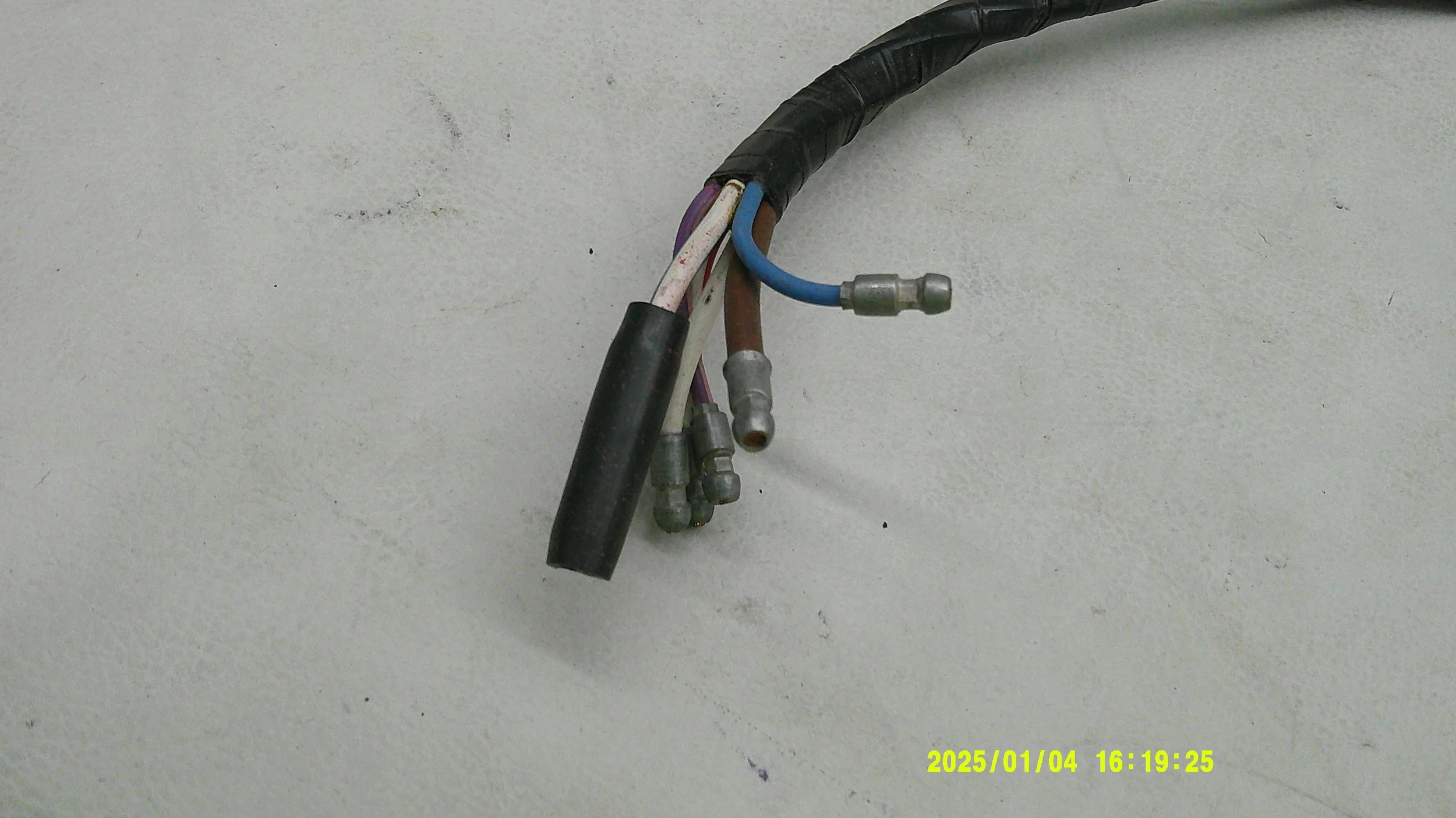 DSCF0595.JPG