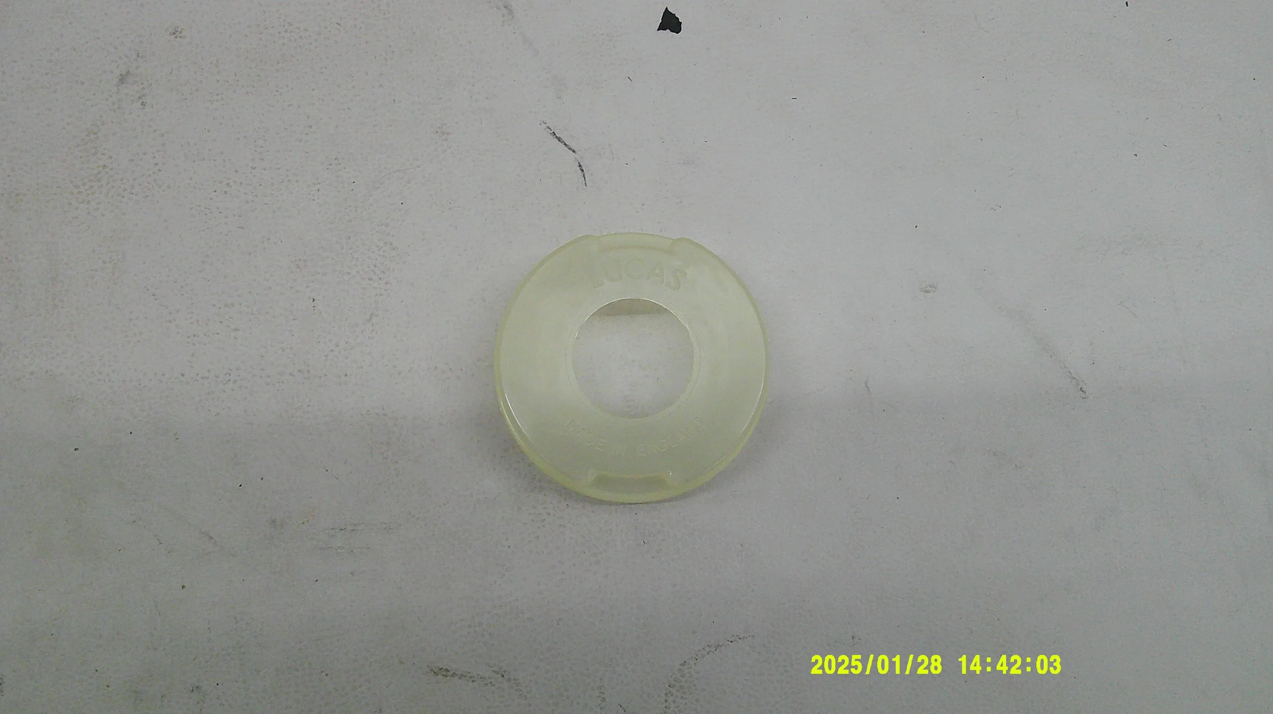 DSCF0717.JPG