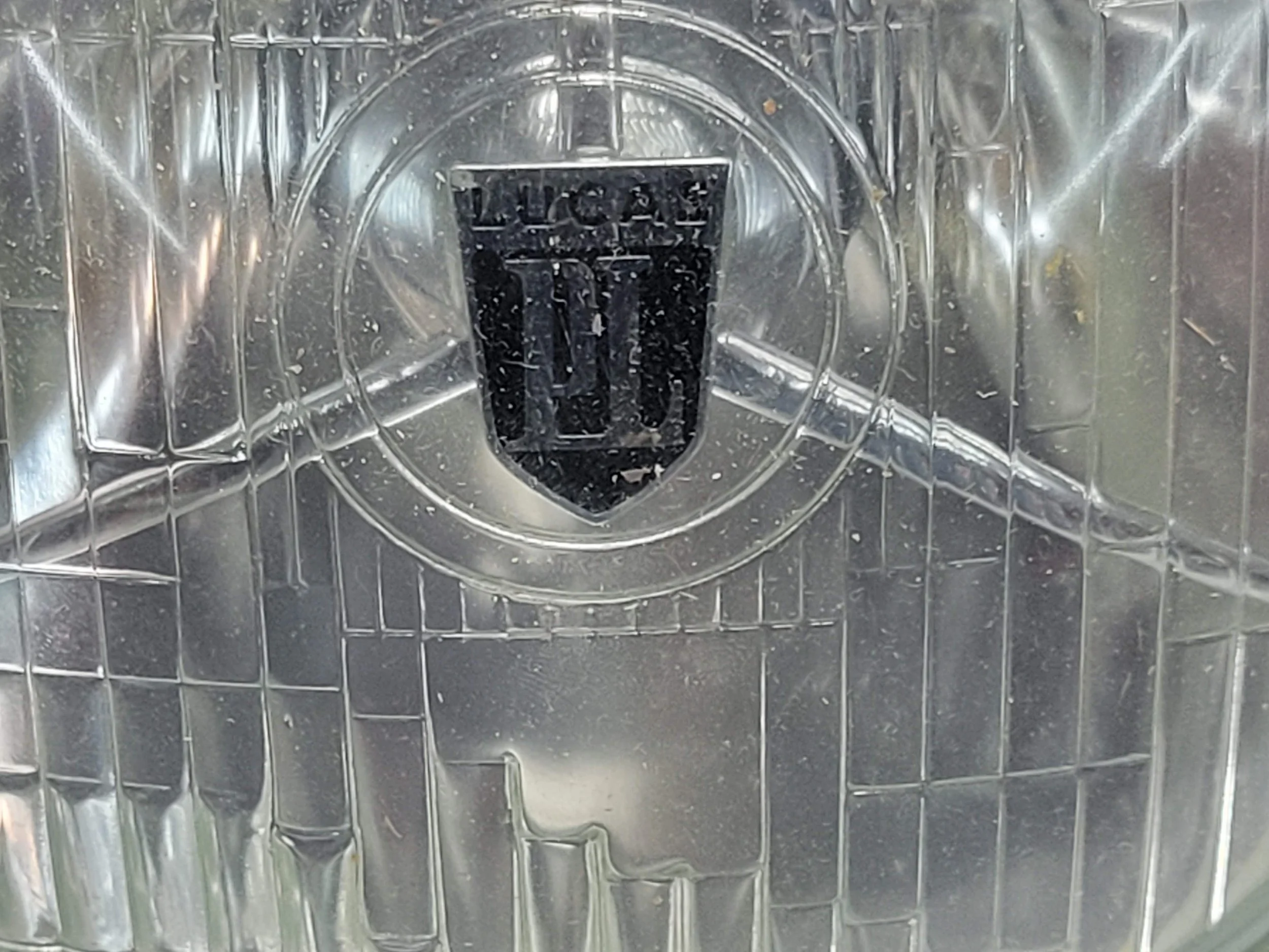 20260529_100206.jpg