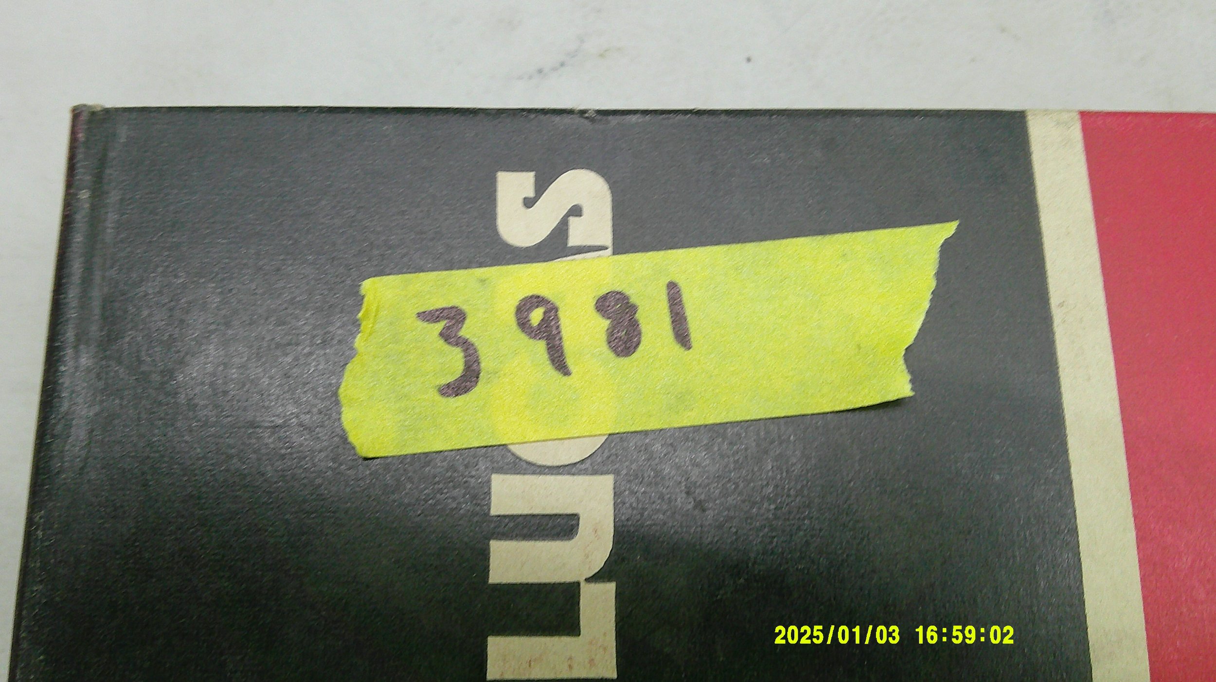 DSCF0490.JPG