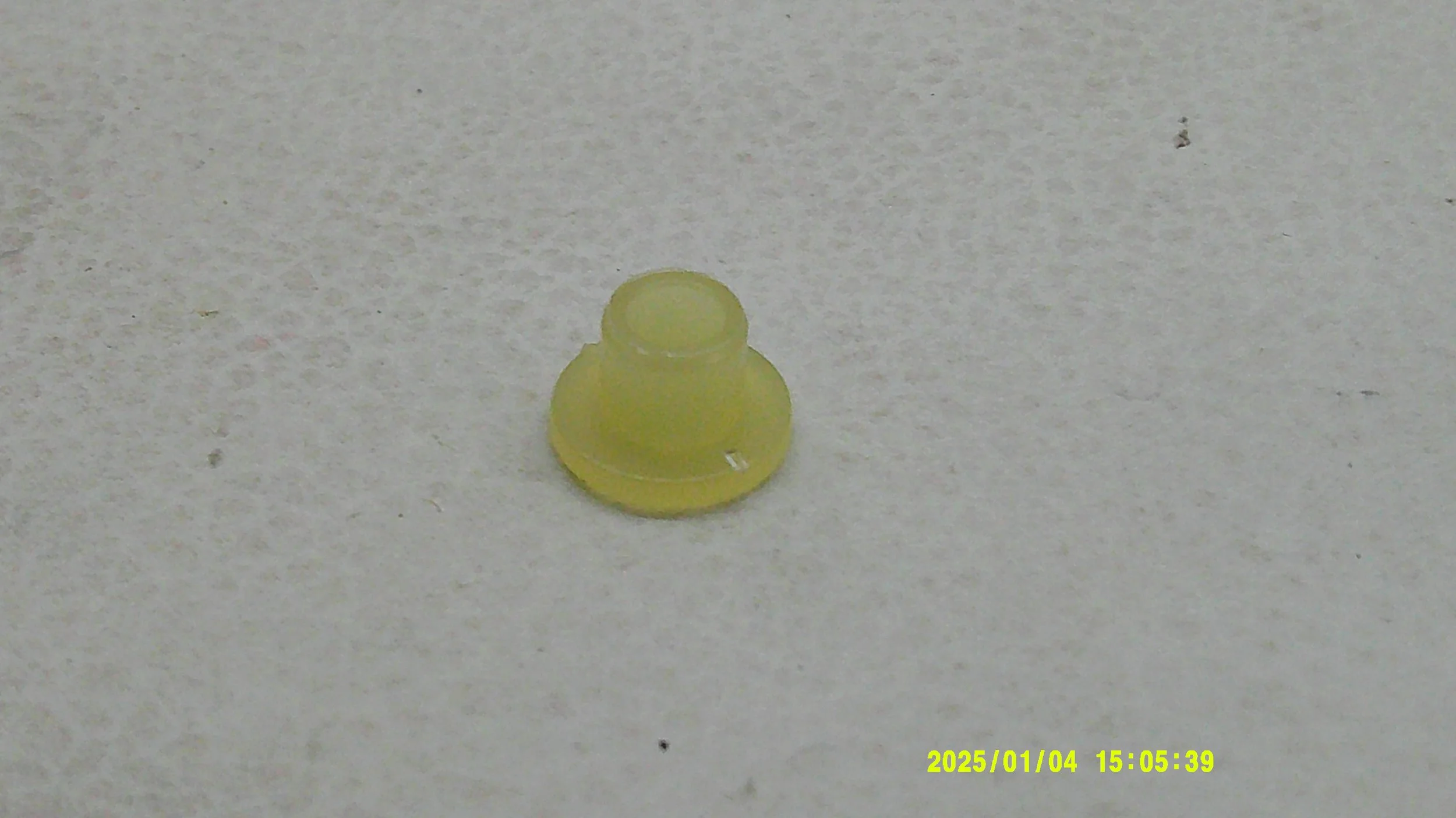 DSCF0521.JPG