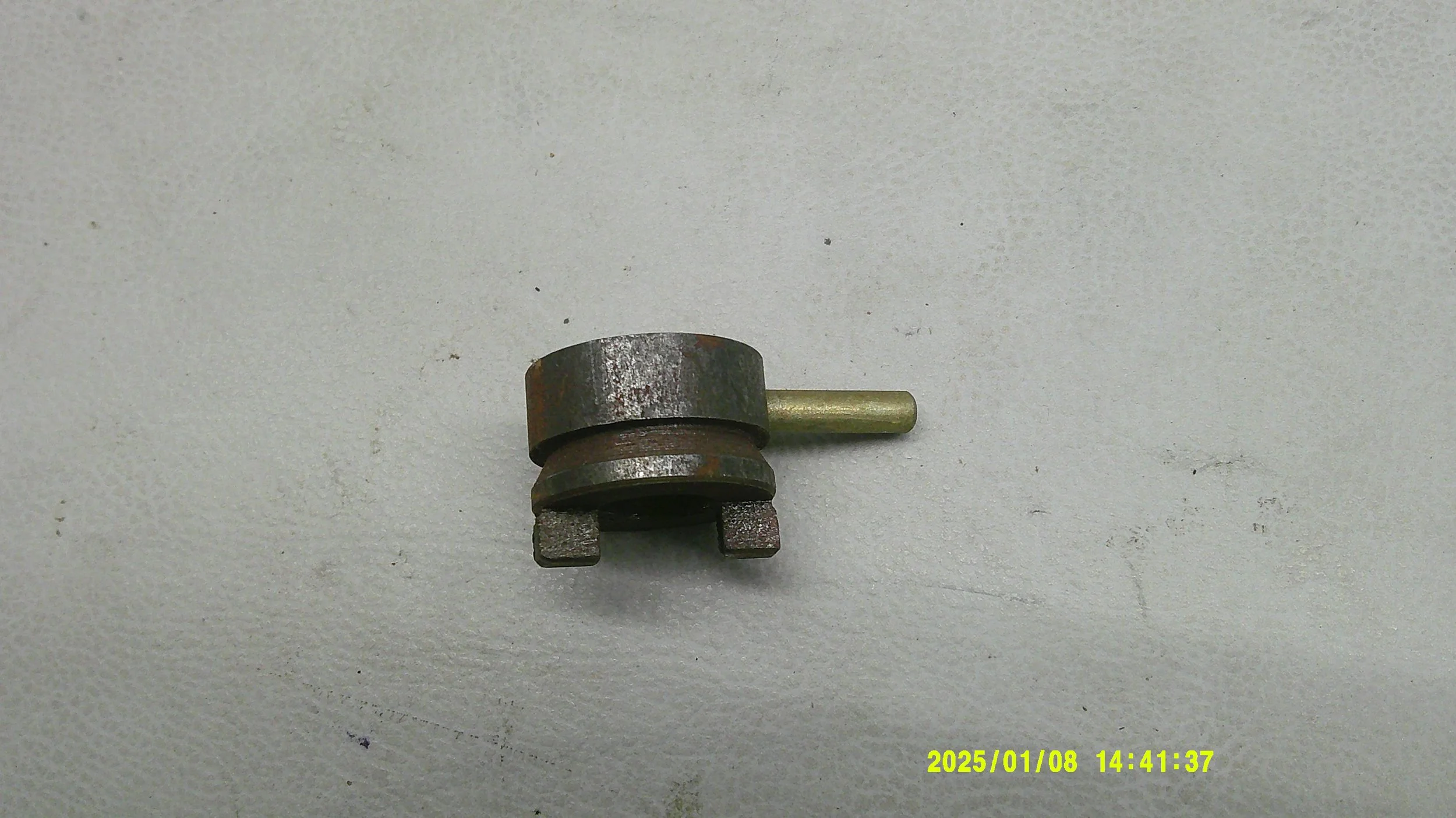 DSCF0519.JPG