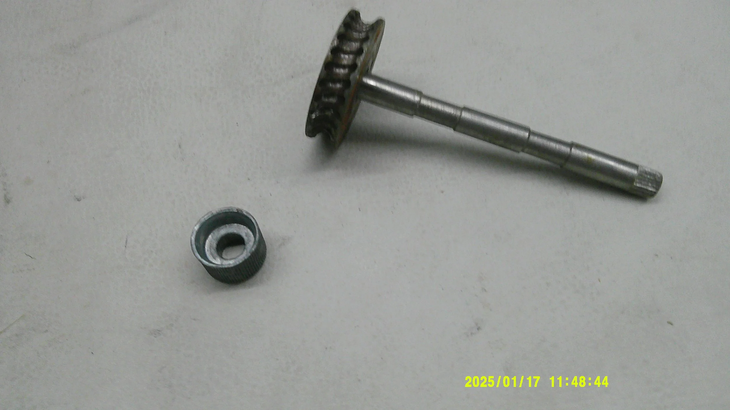 DSCF0089.JPG
