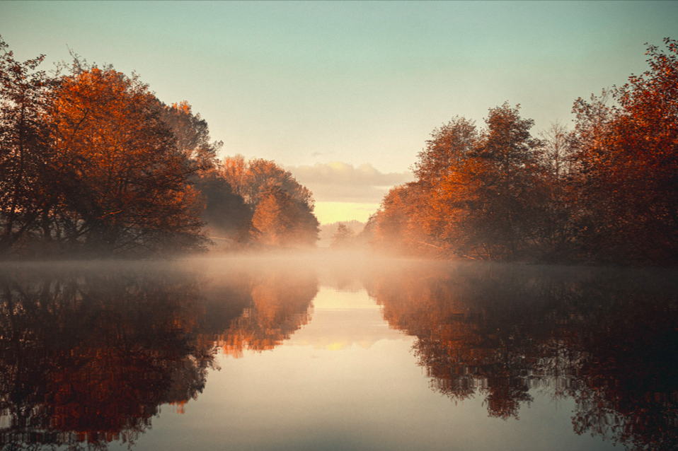 Screen Shot 2020-10-18 at 11.22.32 PM.png