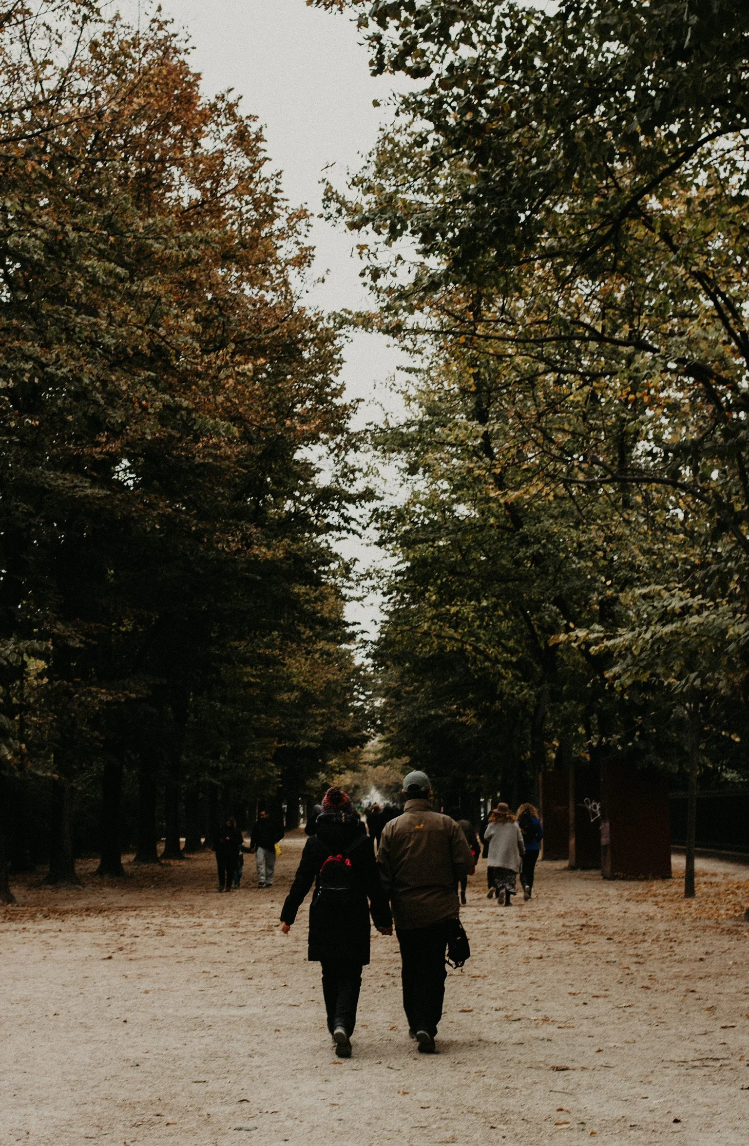 People walking through a park with tall trees on either side, many of which have brown and green leaves, indicating an autumn setting.