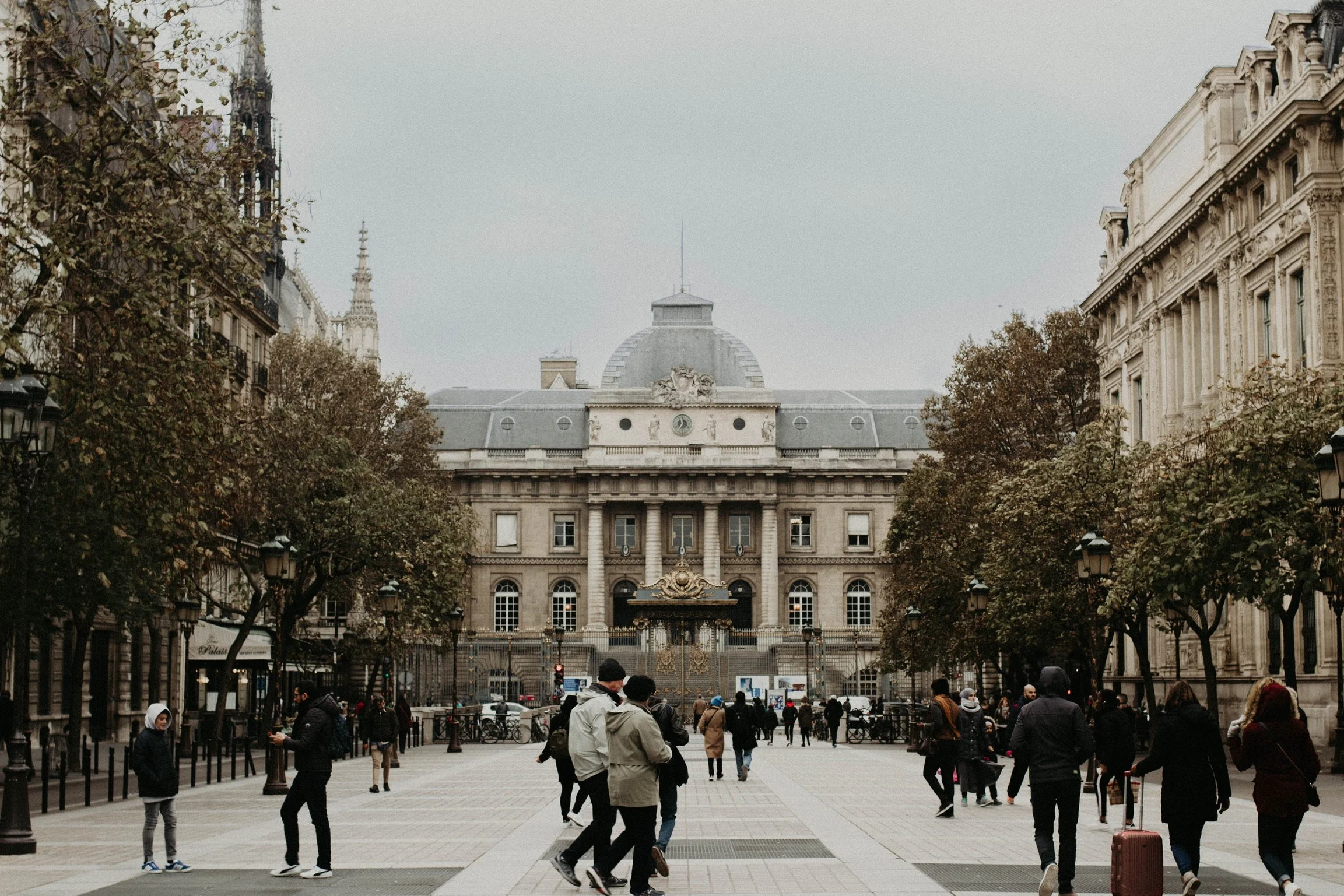 A city square with people walking, trees lining the sides, and a large ornate historic building in the background, likely in a European city.