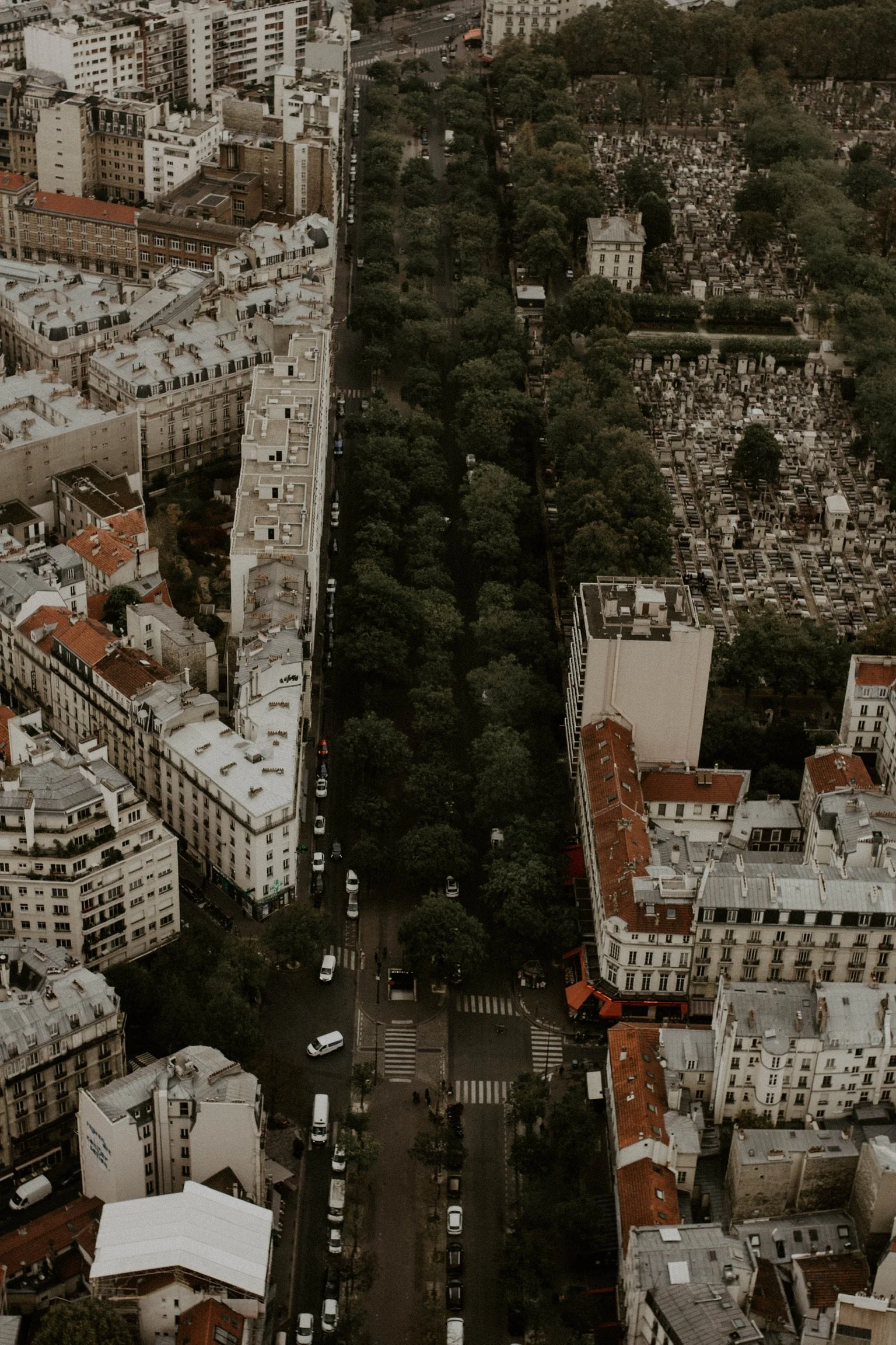 Aerial view of a city street with surrounding buildings and a large park filled with trees.