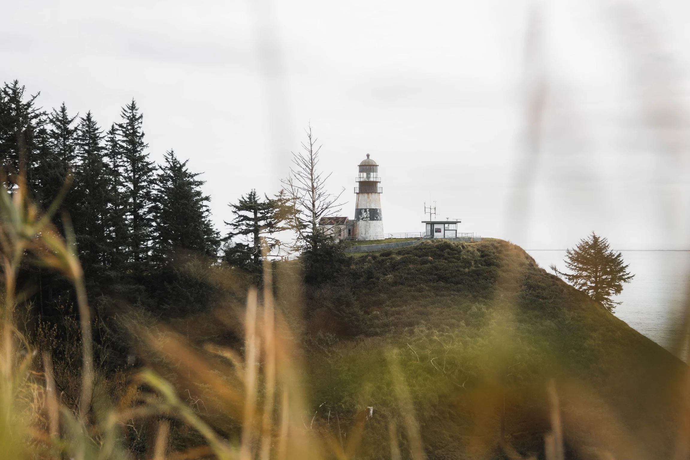 Lighthouse on a grassy hill with trees around, overlooking a body of water, overcast sky in the background.