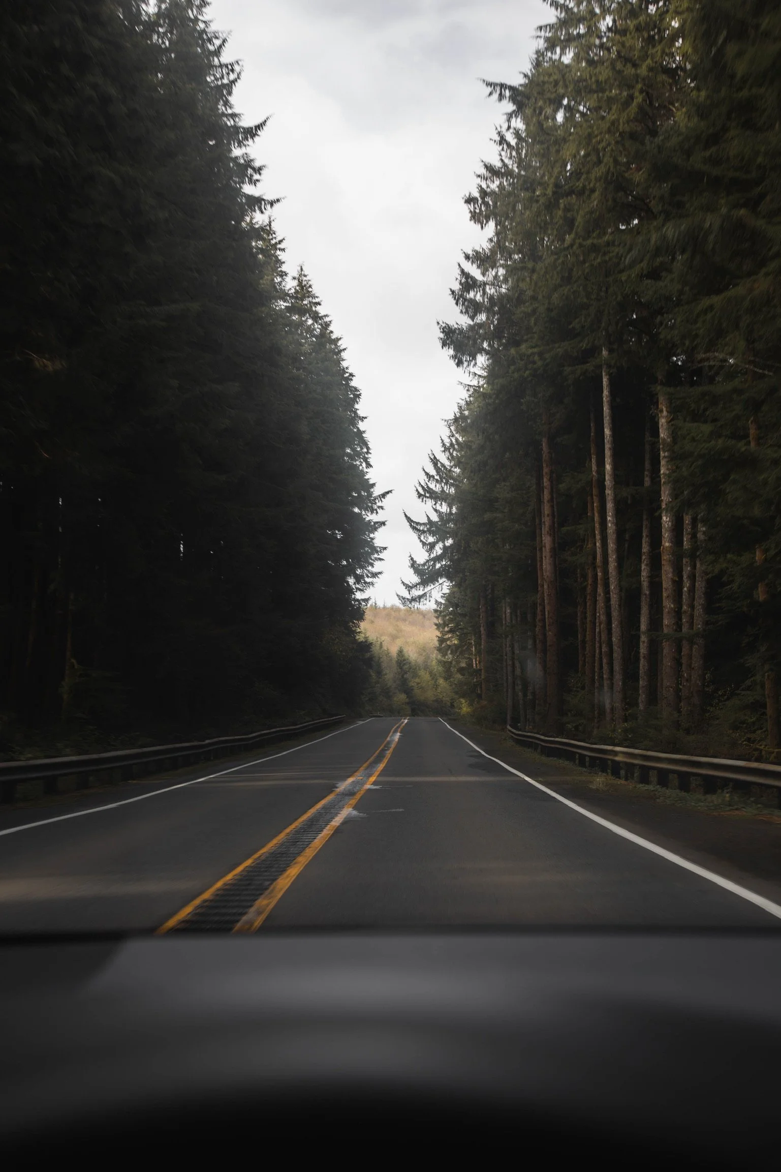 A two-lane road winds through a dense forest of tall pine trees on both sides under a cloudy sky, viewed from inside a vehicle.