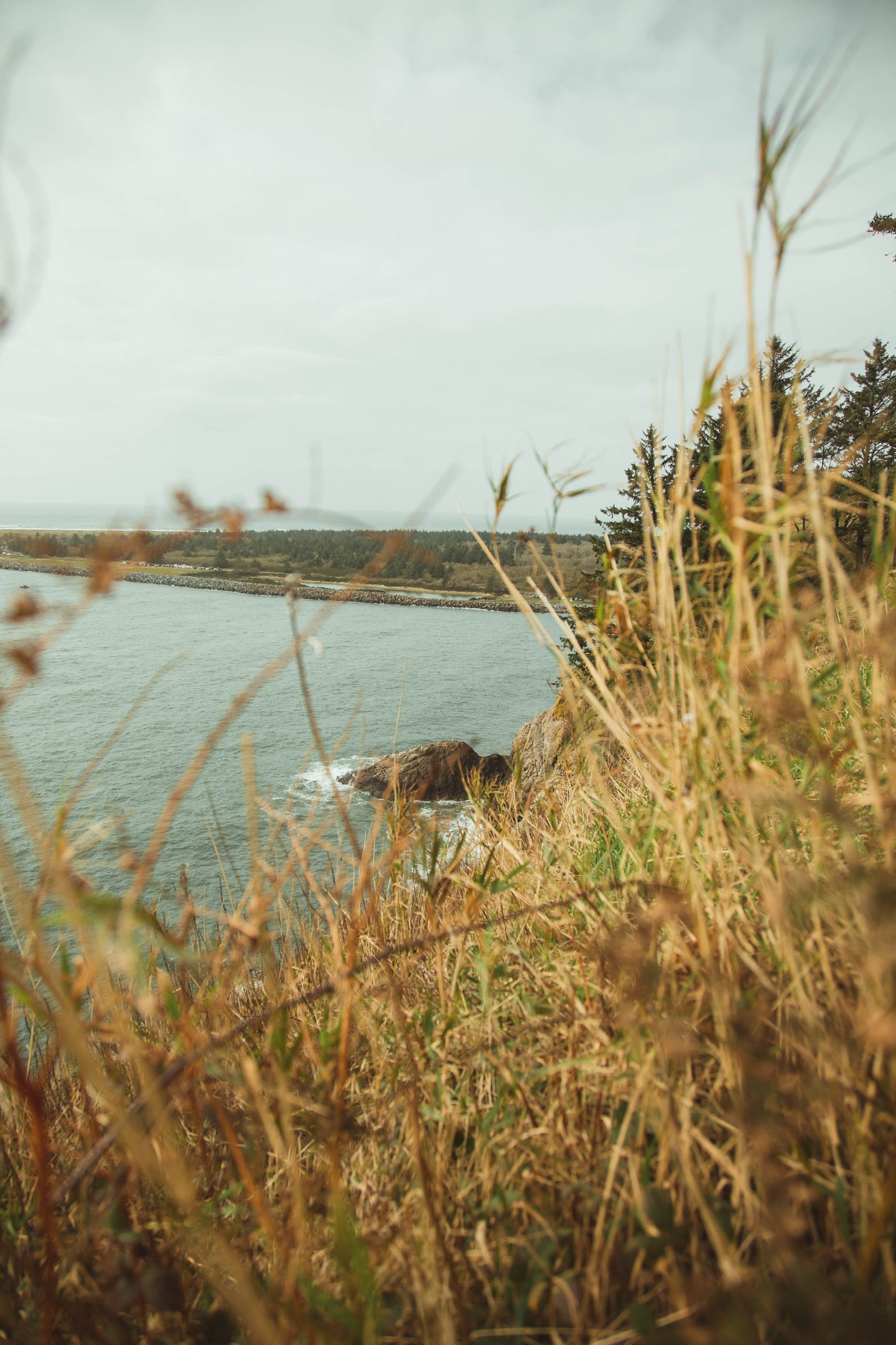 A coastal scene with dry grass in the foreground, rocky cliffs near the water, and a body of water with a forest in the background.