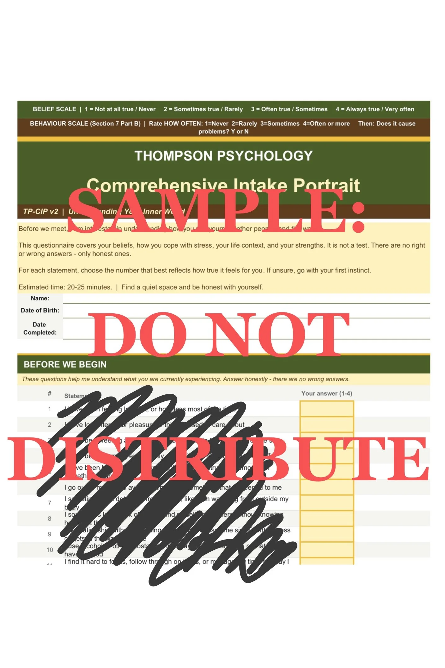 TP-CIP: Comprehensive Intake Portrait