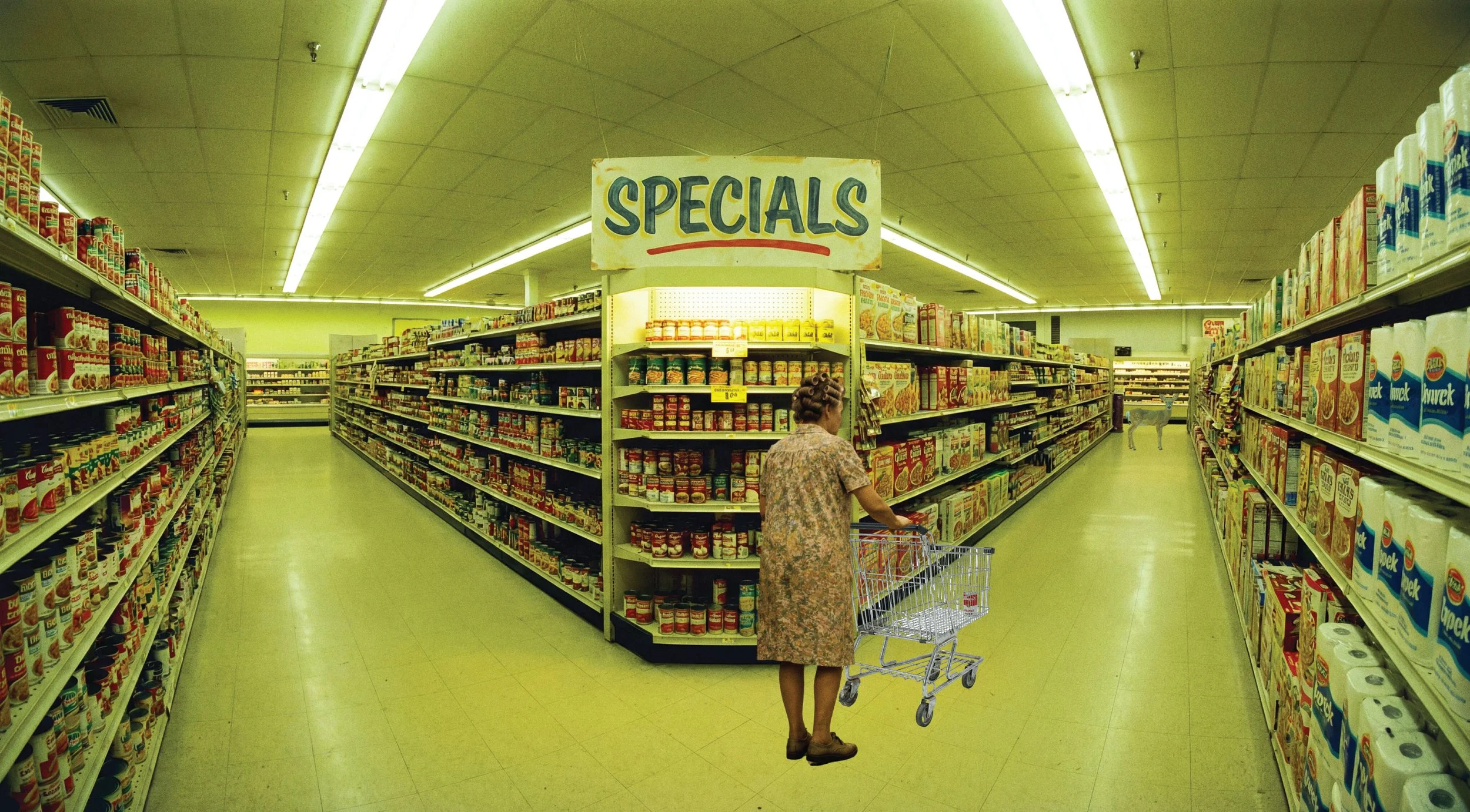 The Last Grocery Run