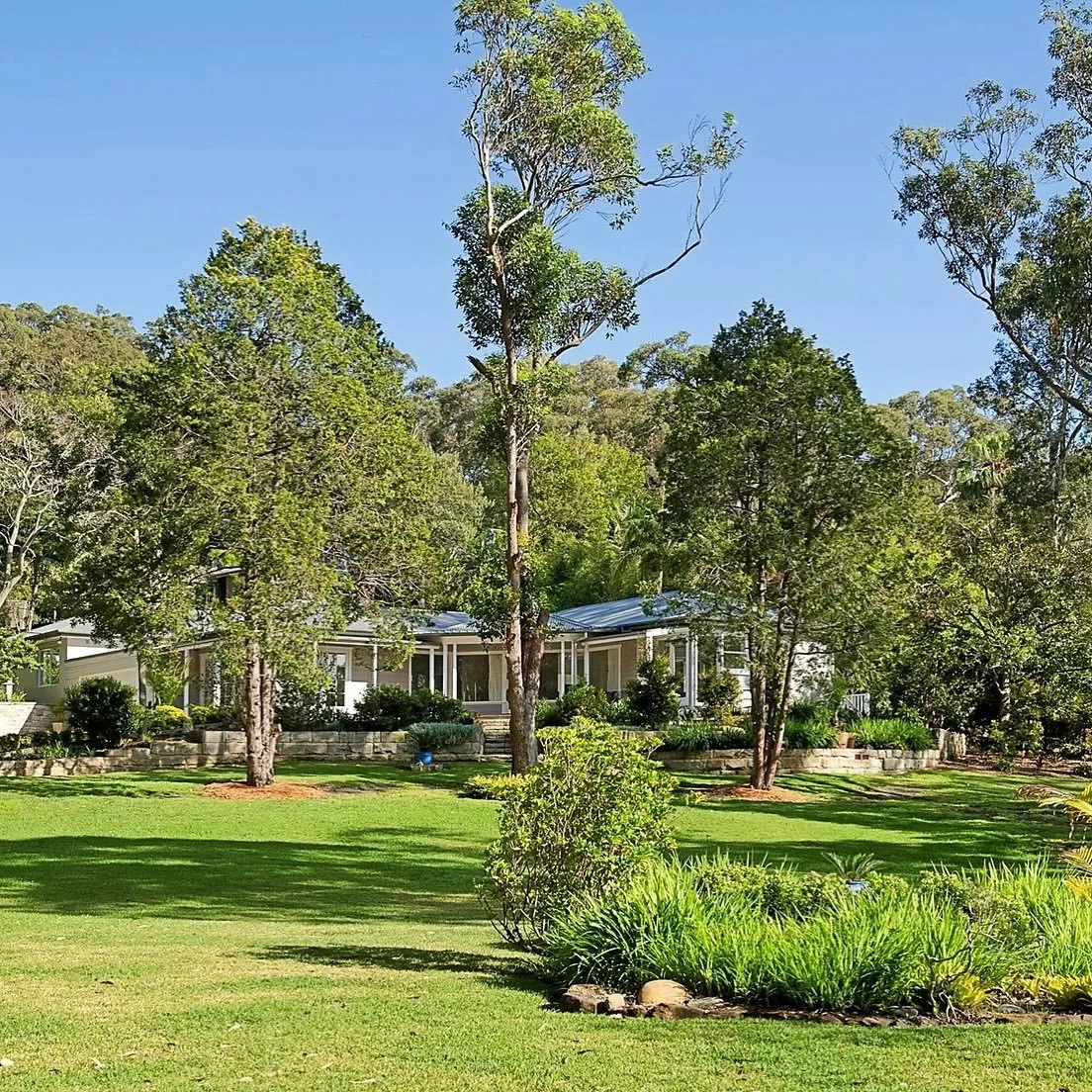 // NEW PROJECT // We are delighted to be commencing work on this stunning new build project. Tucked away in one of the best locations on the Northern Beaches, we will be stepping the clients through appointing consultants, approvals and a tender in e