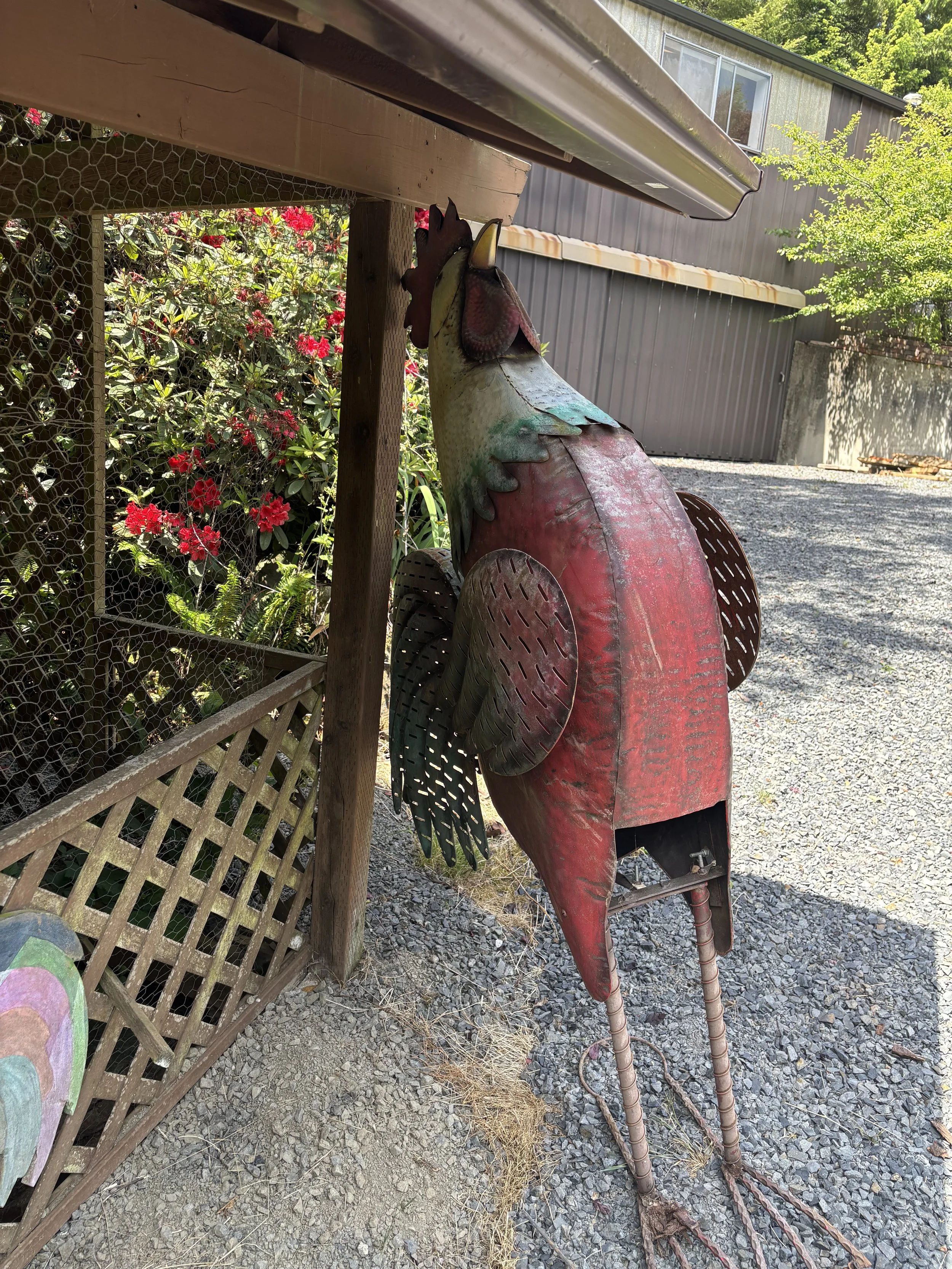 IMG_7187.jpeg