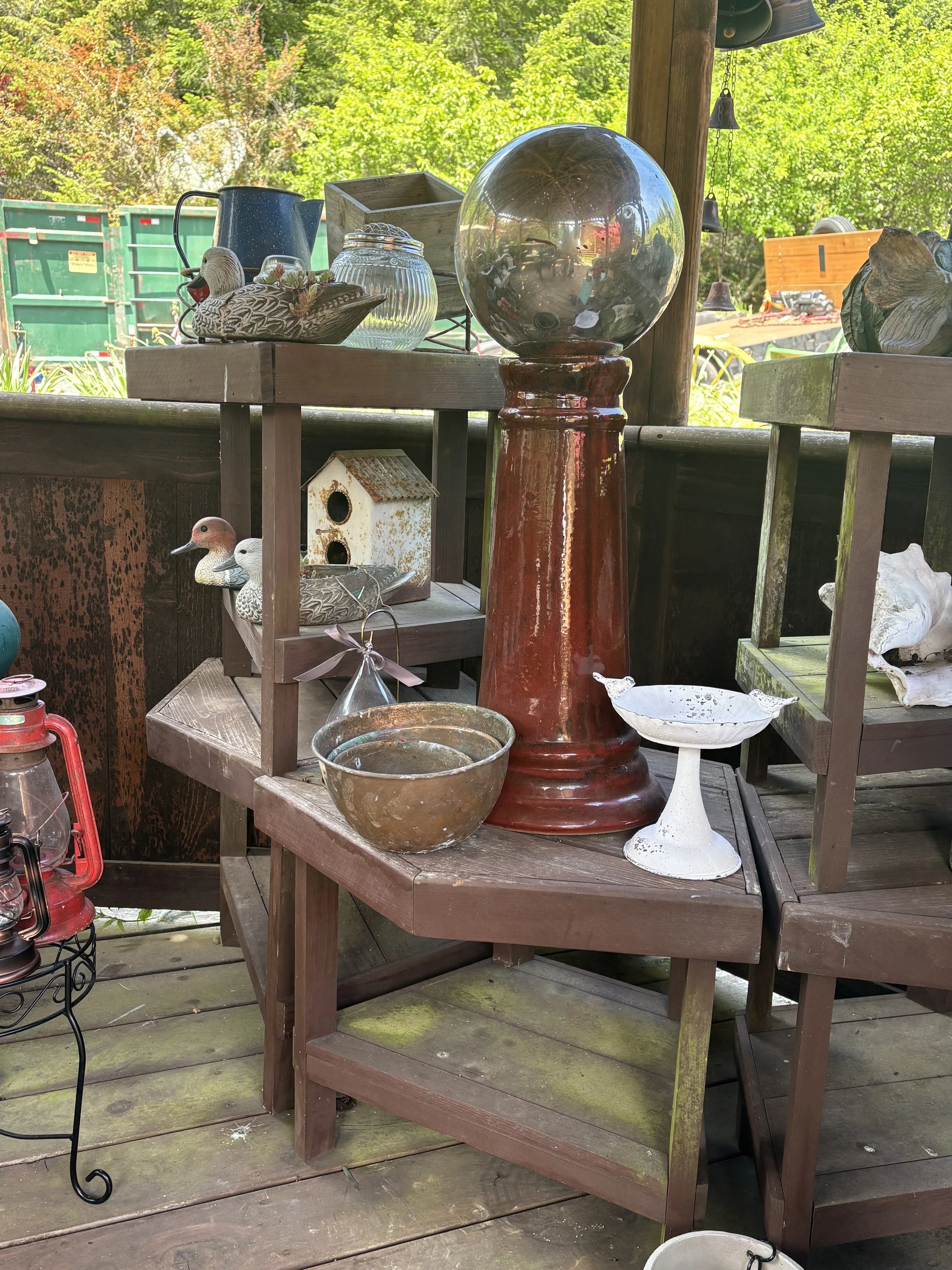 IMG_7173.jpeg
