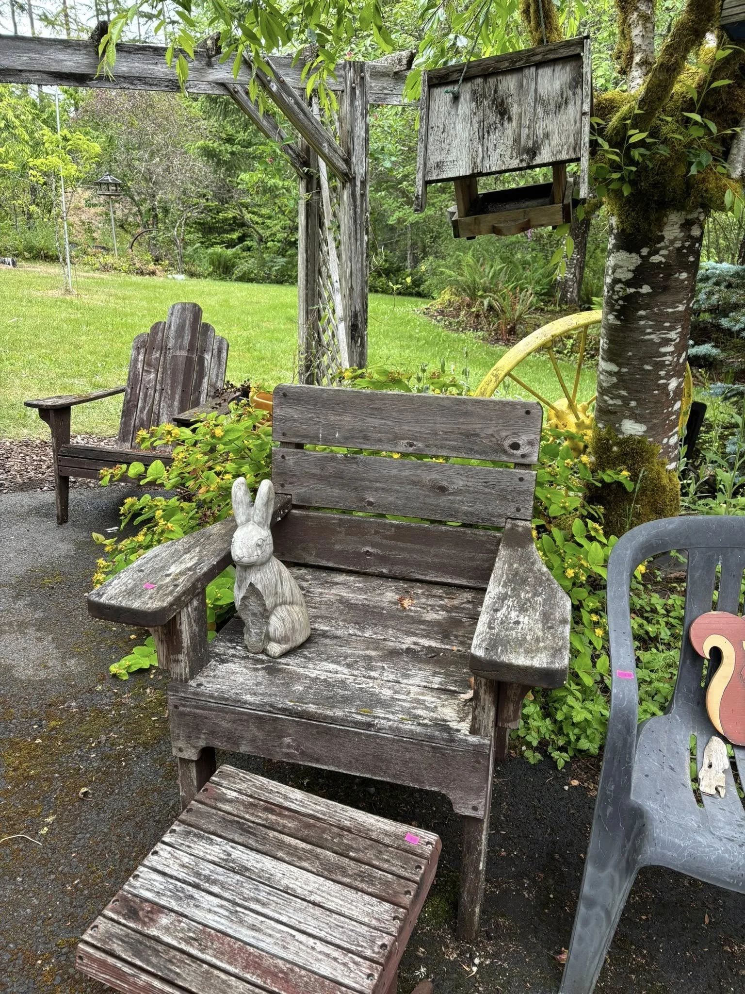 vernonia999.jpg