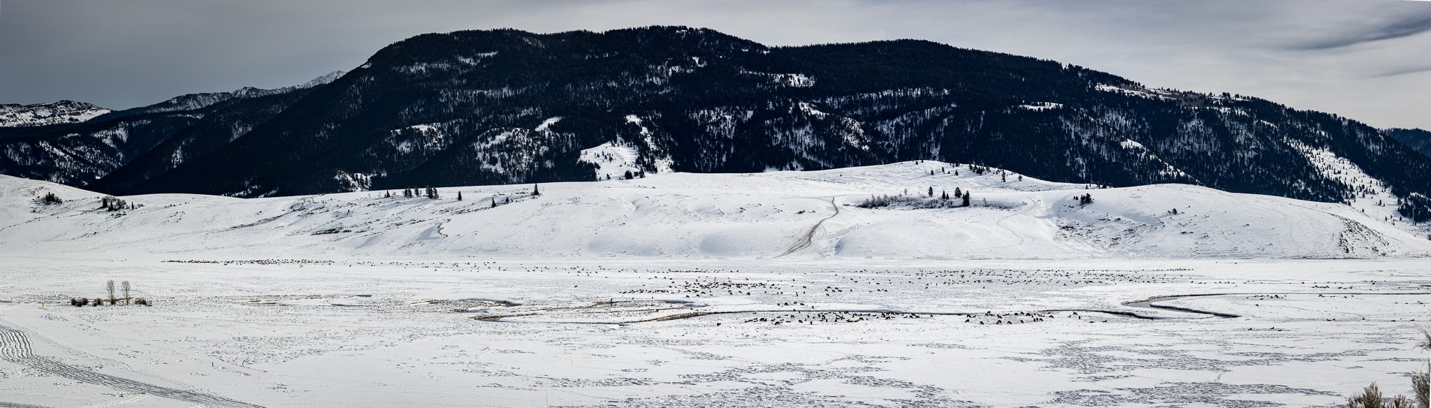 _50A5423-Pano.jpg