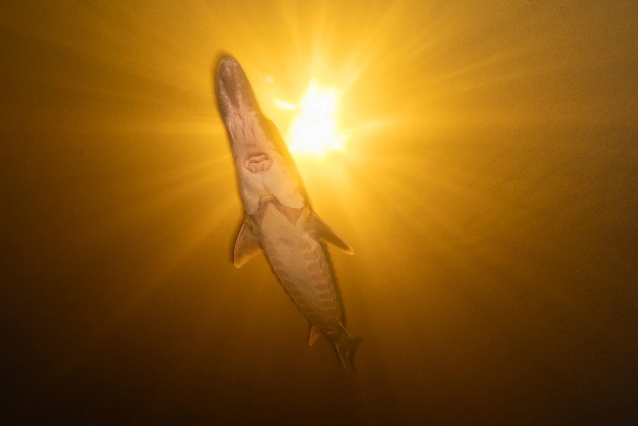 _DSC7400-Edit.jpg