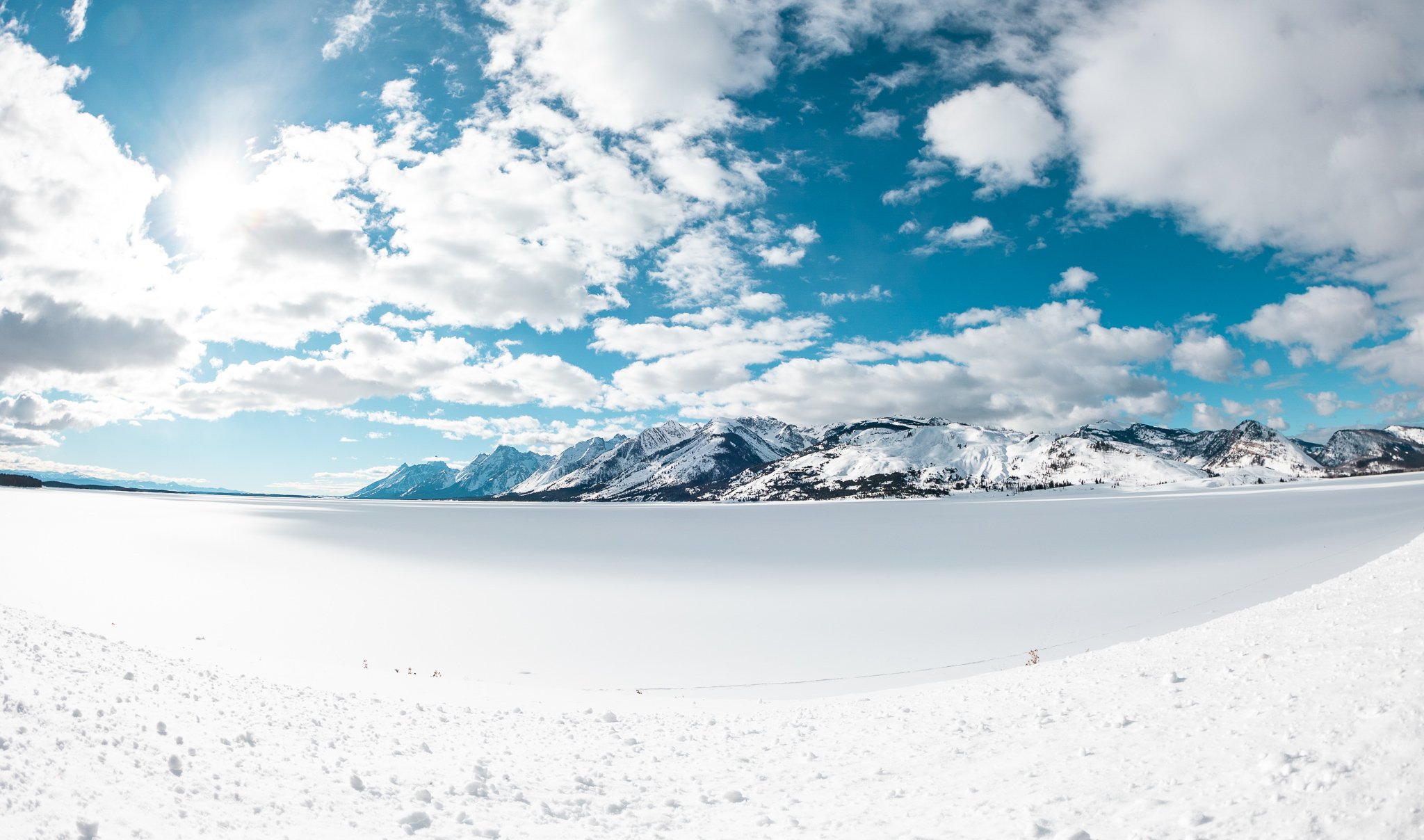_50A5317.jpg