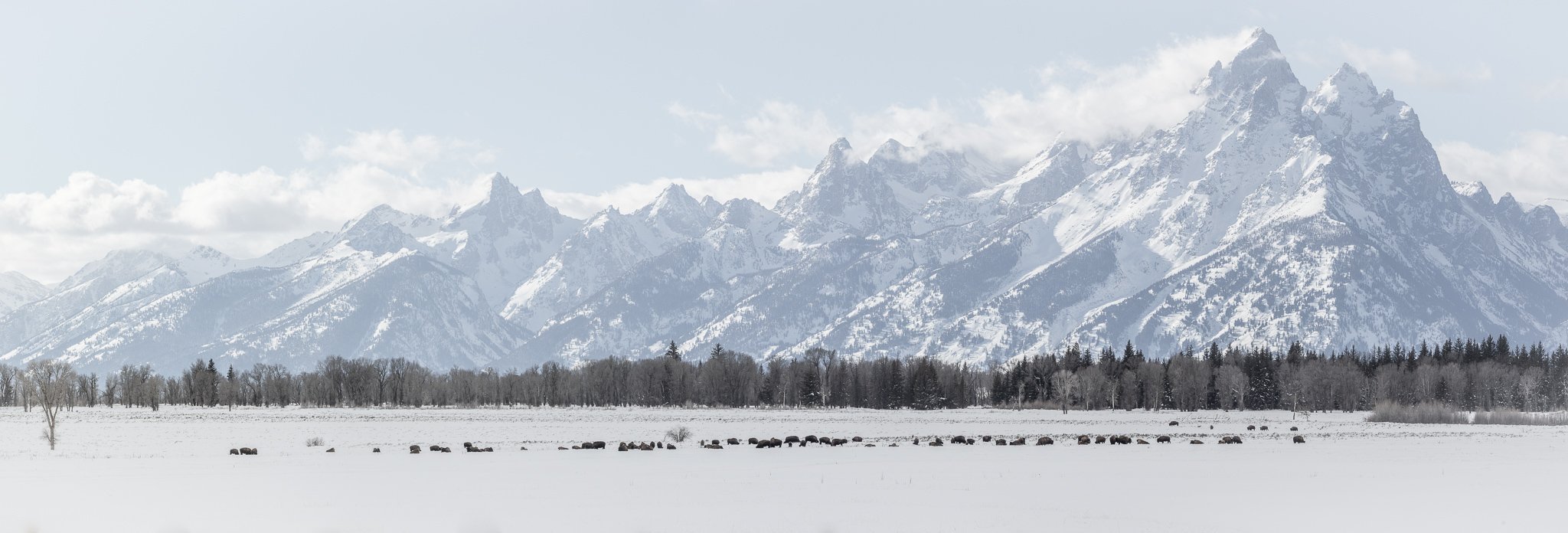 _50A5374-Pano.jpg