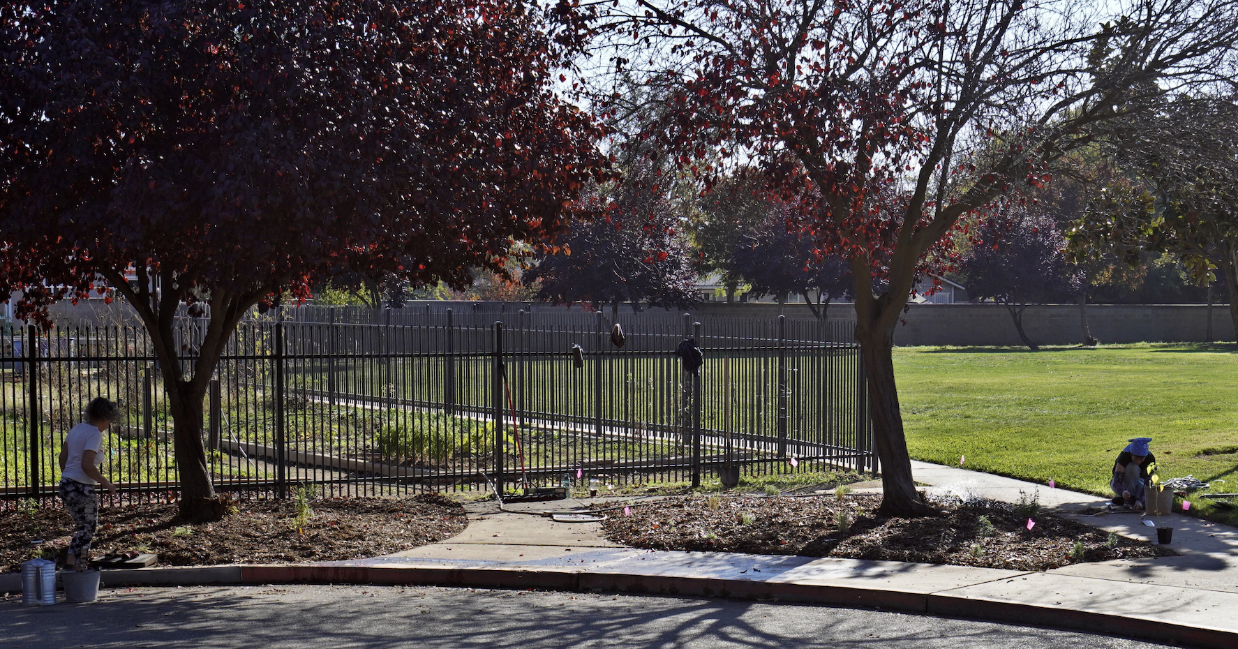 Screenshot 2025-11-04 at 4.46.41 PM.png