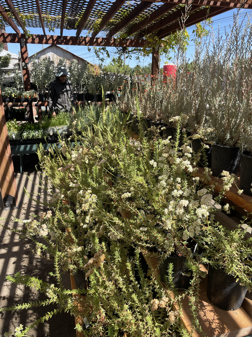 Screenshot 2025-11-13 at 4.55.52 PM.png