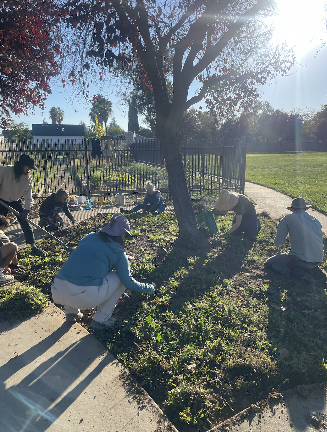 Screenshot 2025-11-13 at 5.06.26 PM.png