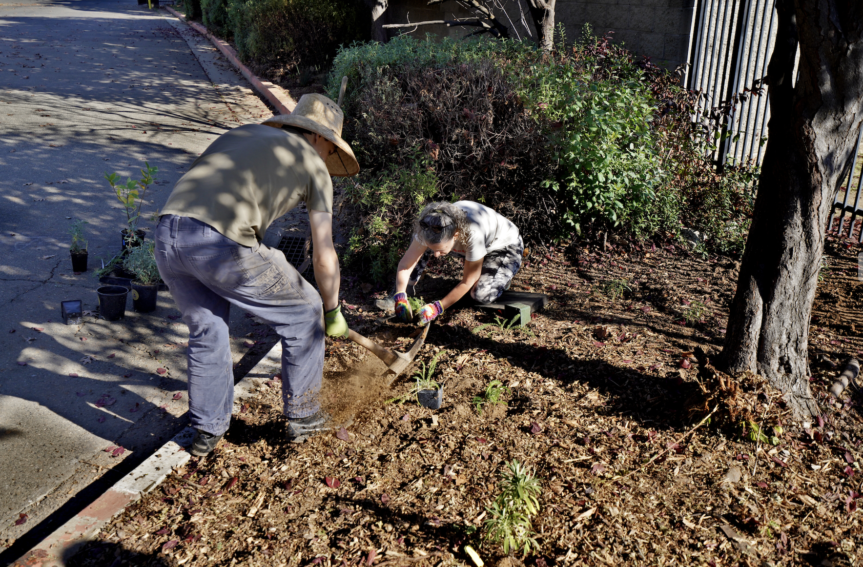 Screenshot 2025-11-04 at 4.46.31 PM.png