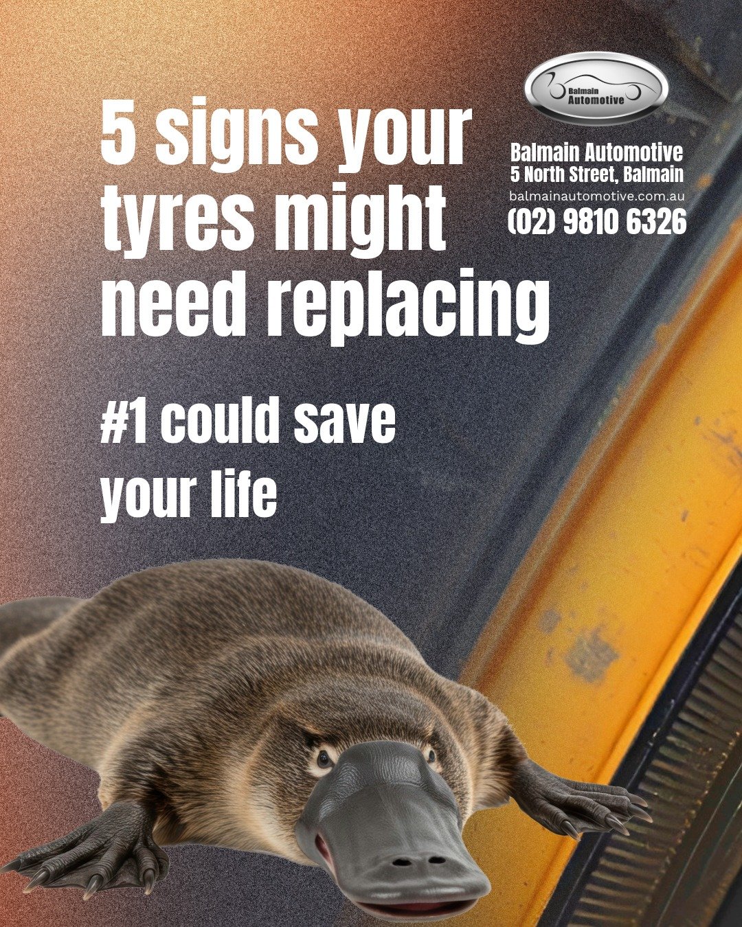 🛞 Tyre Talk: Do You Need New Tyres?
We&rsquo;re often asked how to know when it&rsquo;s time to replace your tyres &mdash; here are 5 signs it might be time:

#1 Tread Depth &ndash; Your tread must be at least 1.6mm deep. Use a 20c coin: if the trea