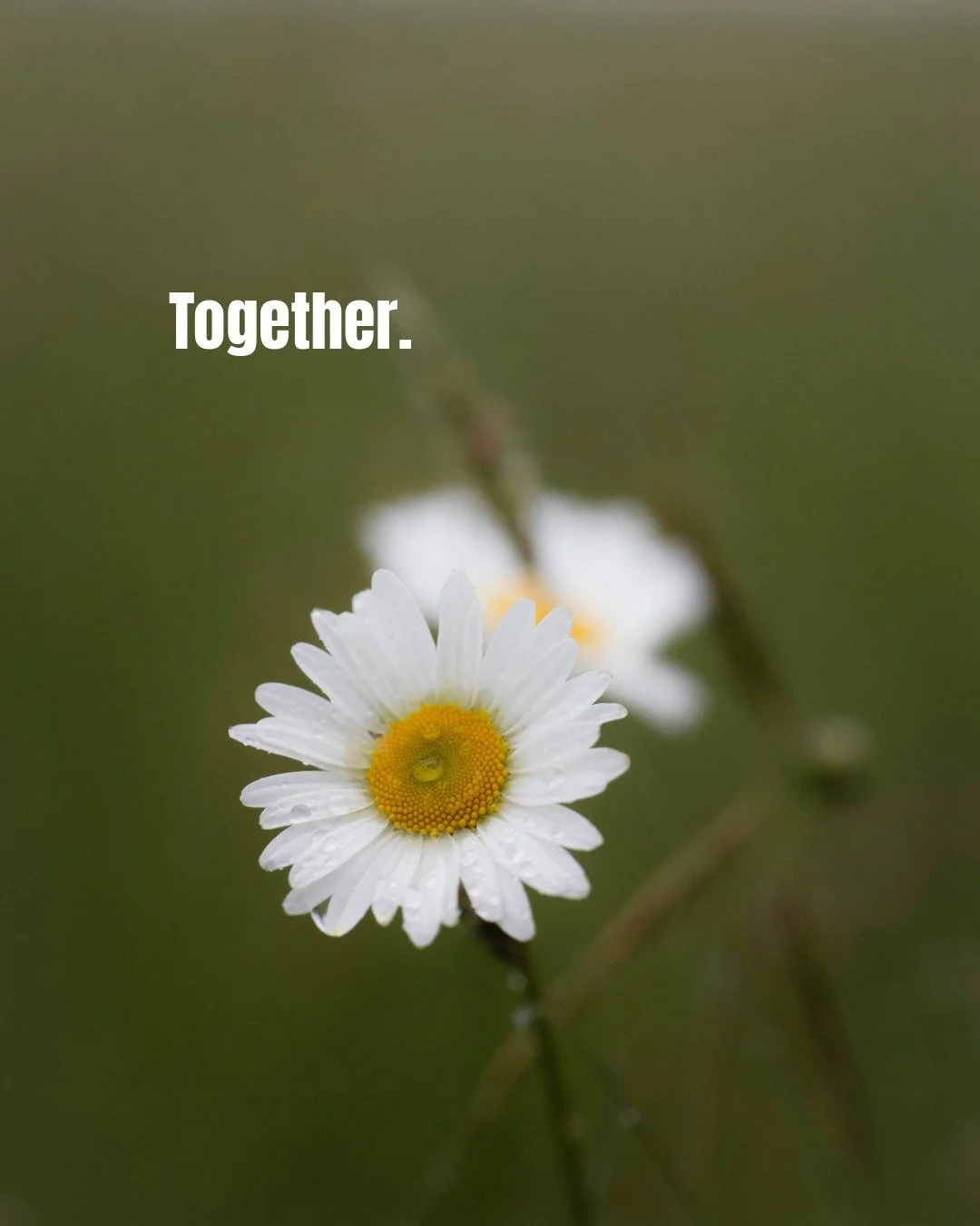 Our hearts are with the families affected by the Bondi Beach tragedy and the wider community during this incredibly sad time.