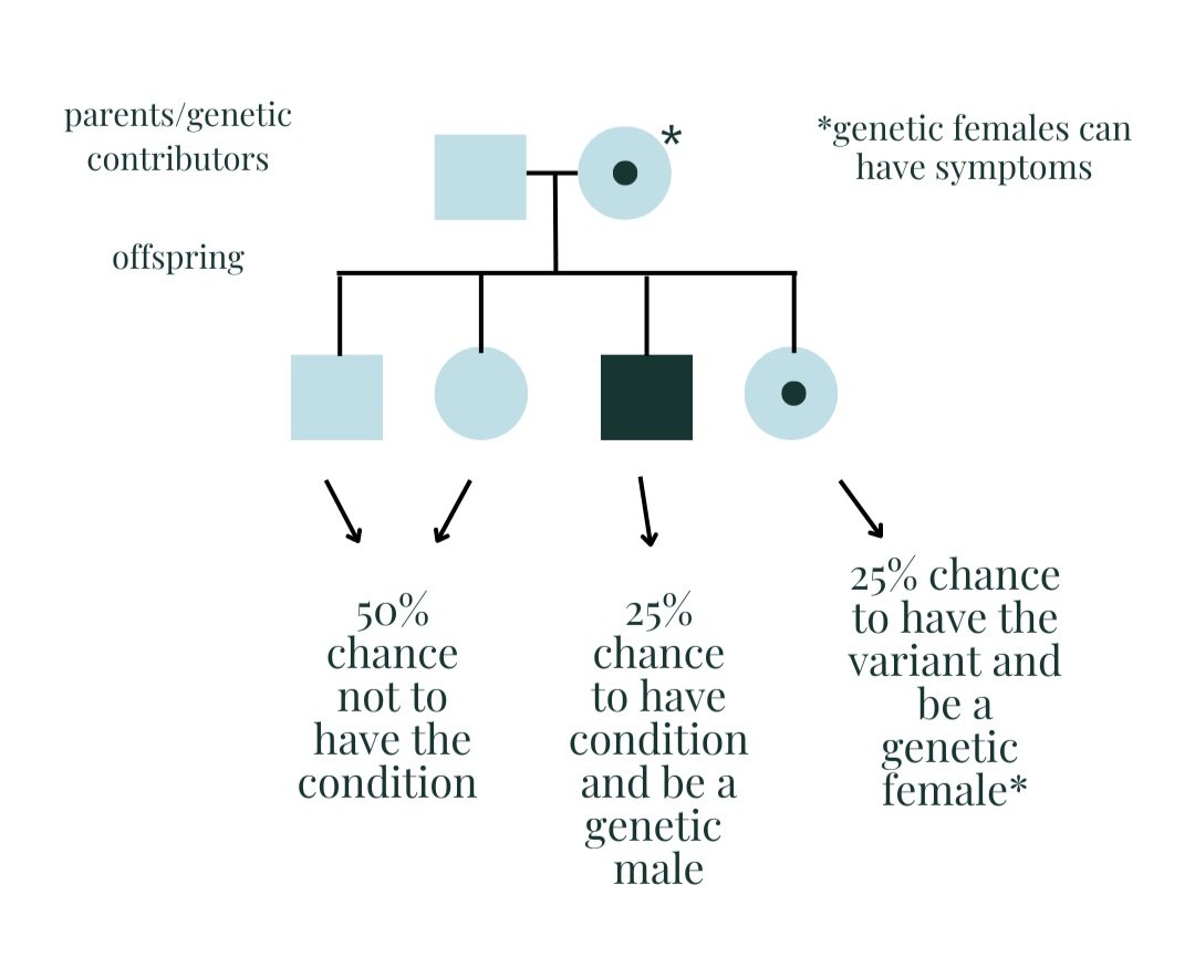 How do we inherit our genes I Modern Reproduction