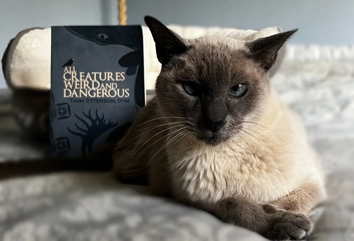 Pierre, a distinguished fan