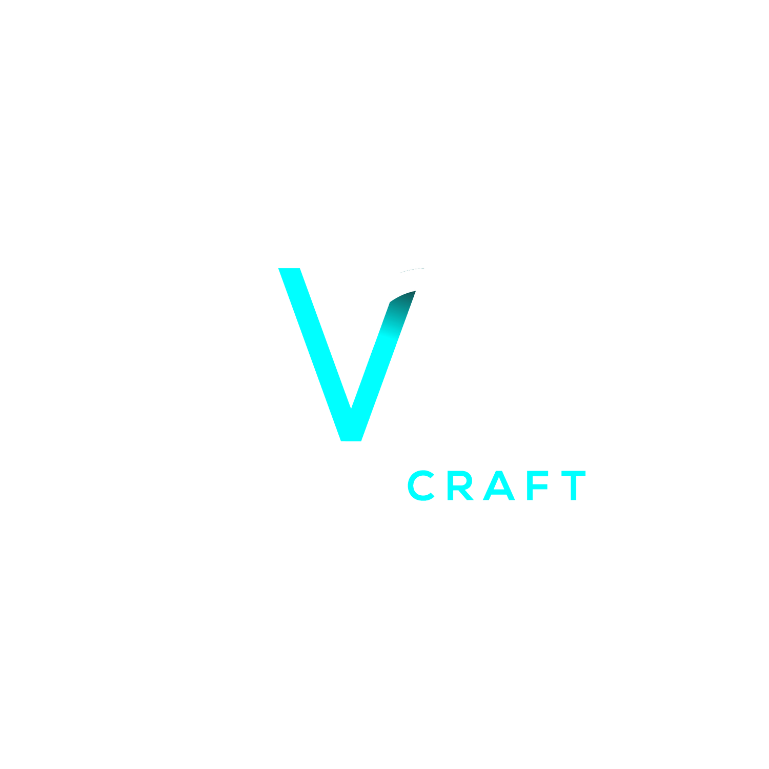 VISION CRAFT