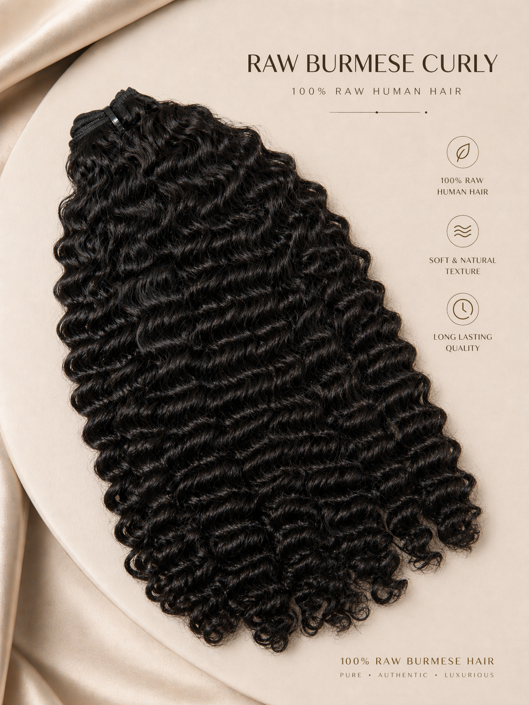 Burmese Curly