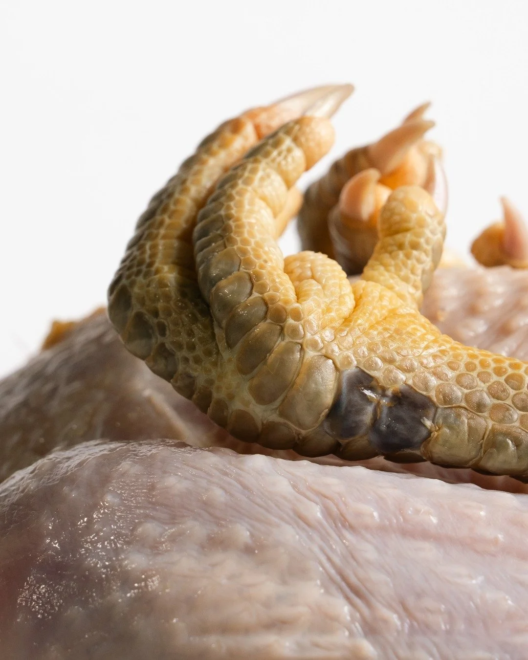 Chef, We Know You Want the Best

That&rsquo;s why we scour the country and the globe to bring you products that stand apart.

Game.
Poultry.
Beef.
Lamb.
Unique cuts and world-class smallgoods built for serious kitchens.

With multiple decades in the 